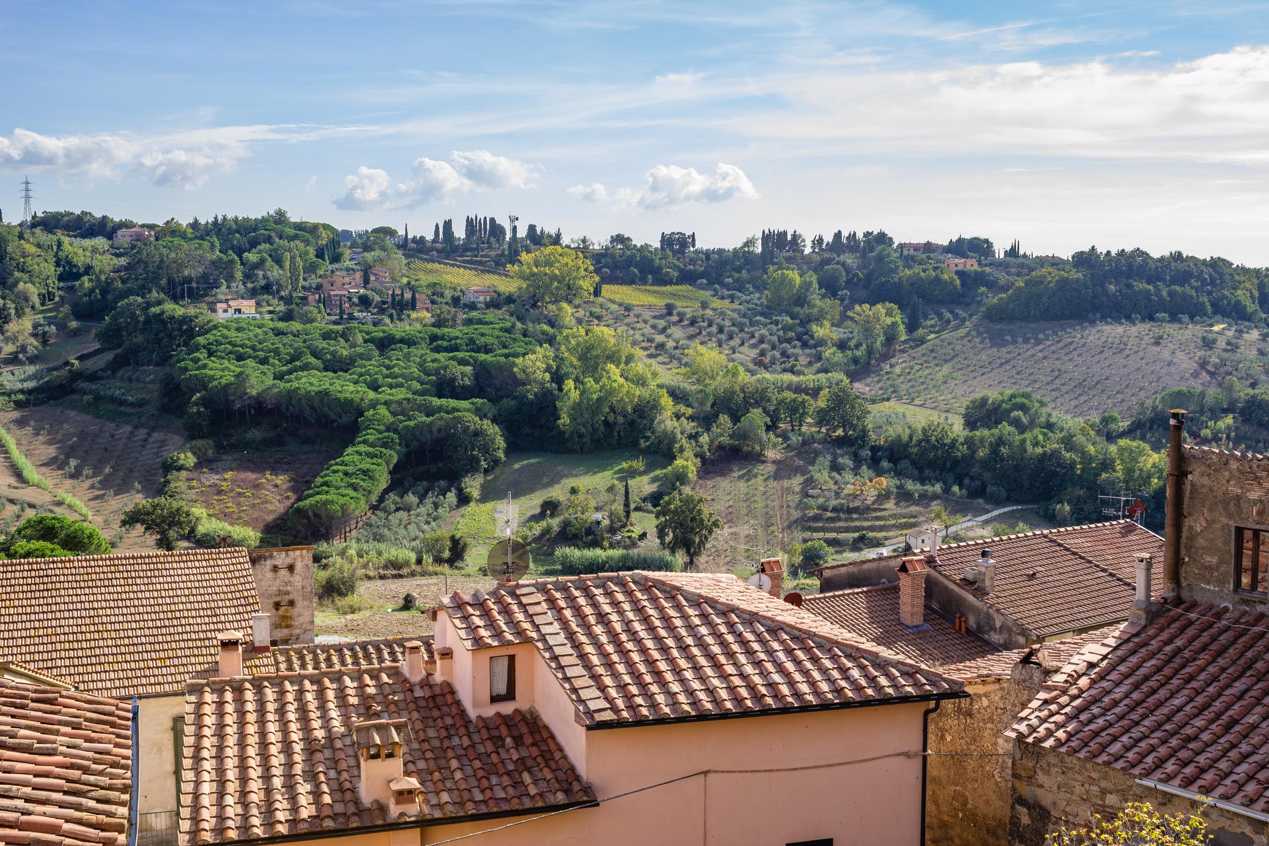 2013 10 Toskana Montescudaio 010