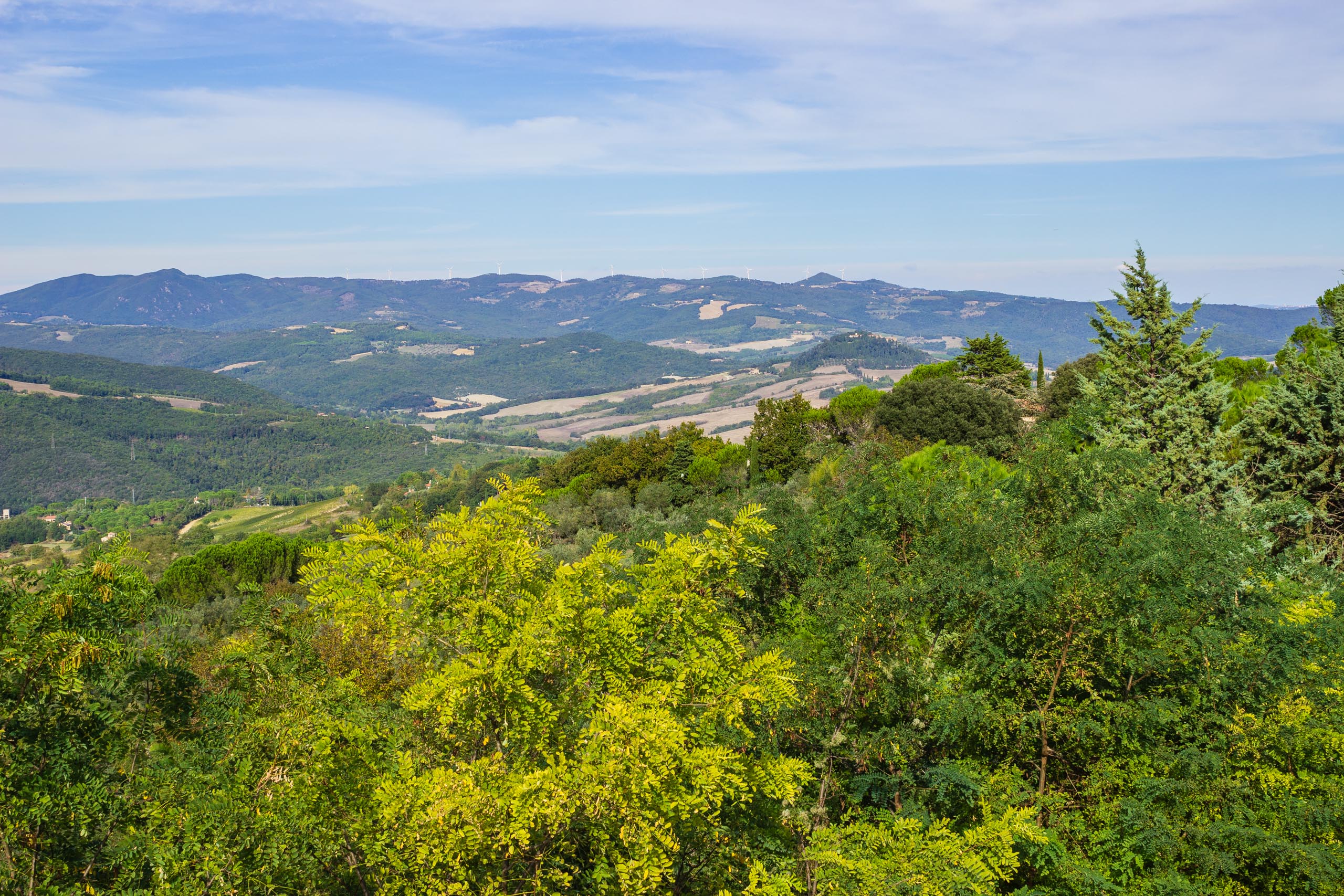 2013 10 Toskana Montescudaio 011