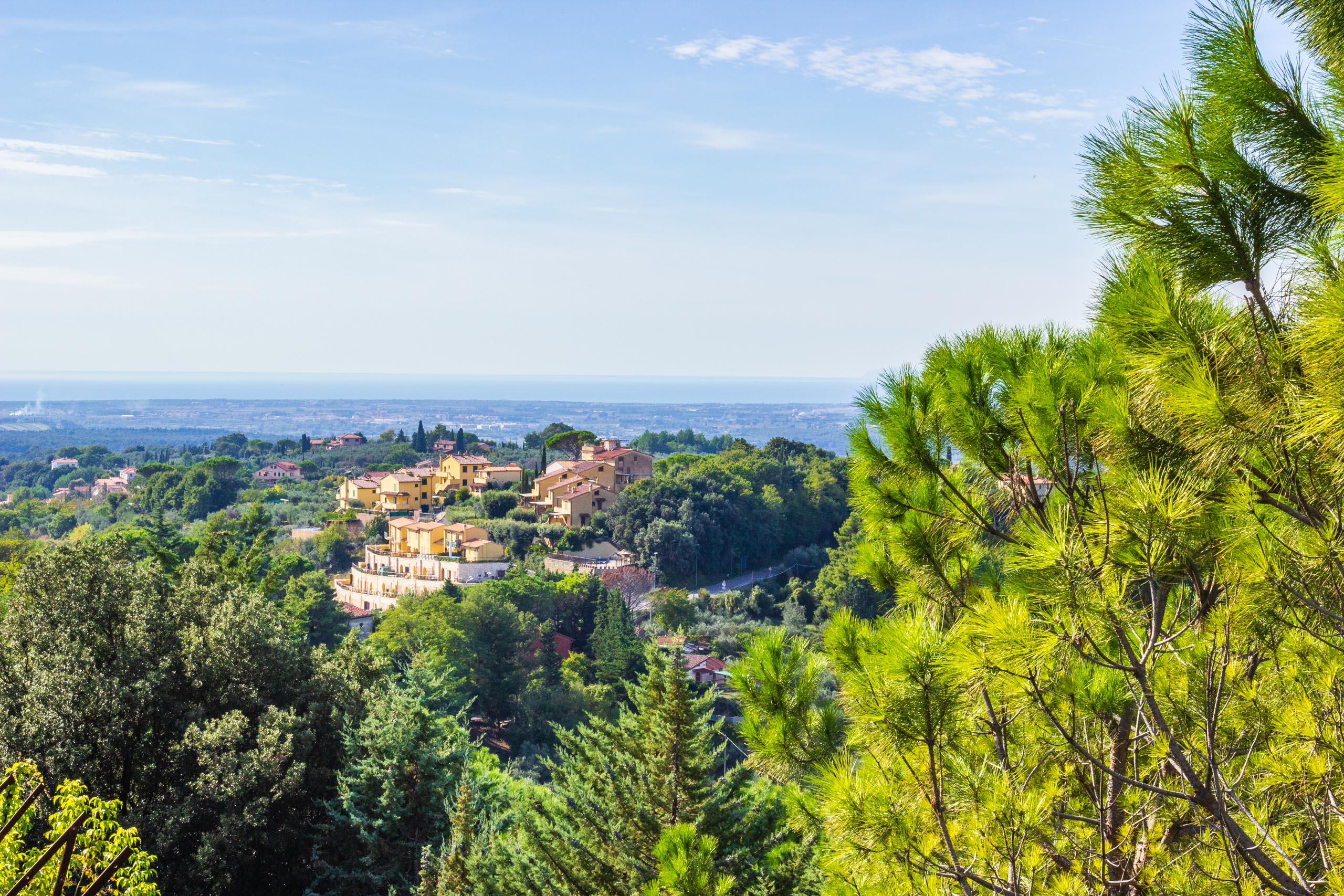 2013 10 Toskana Montescudaio 012