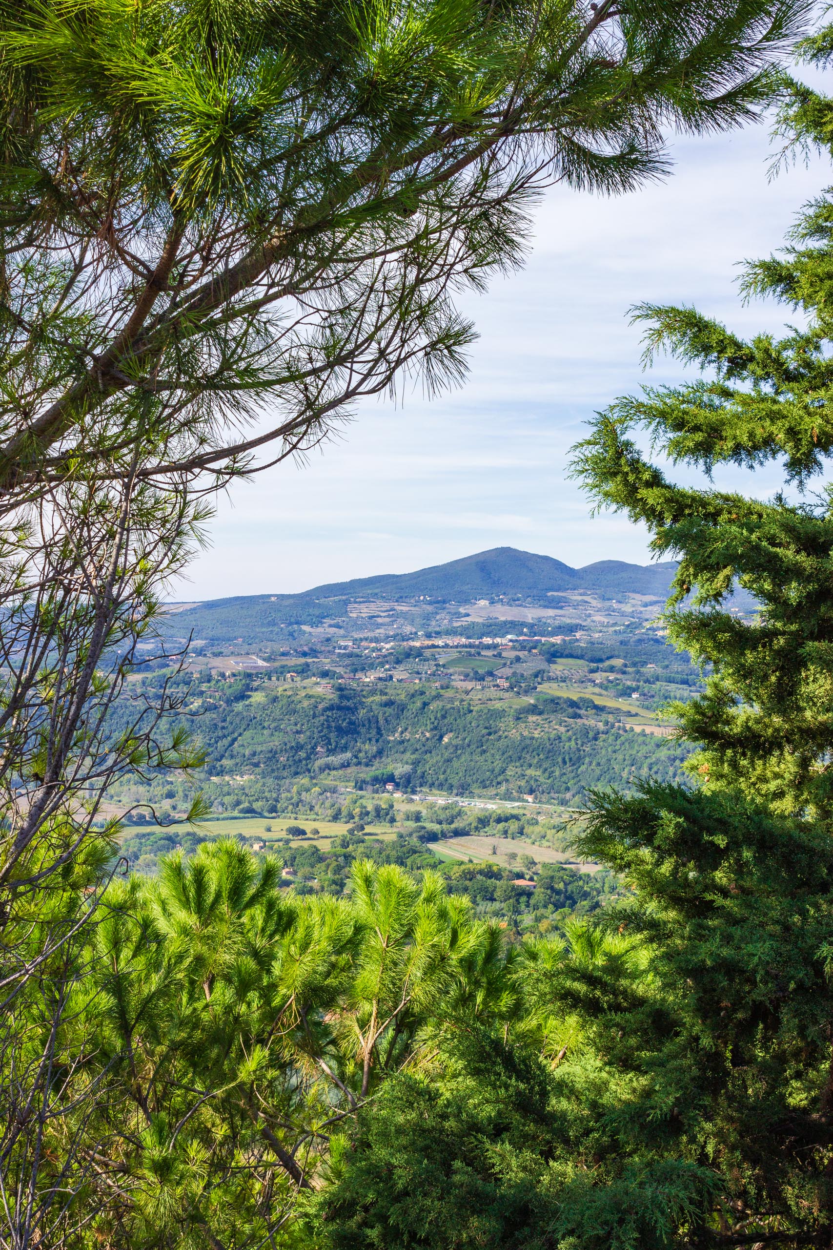 2013 10 Toskana Montescudaio 013