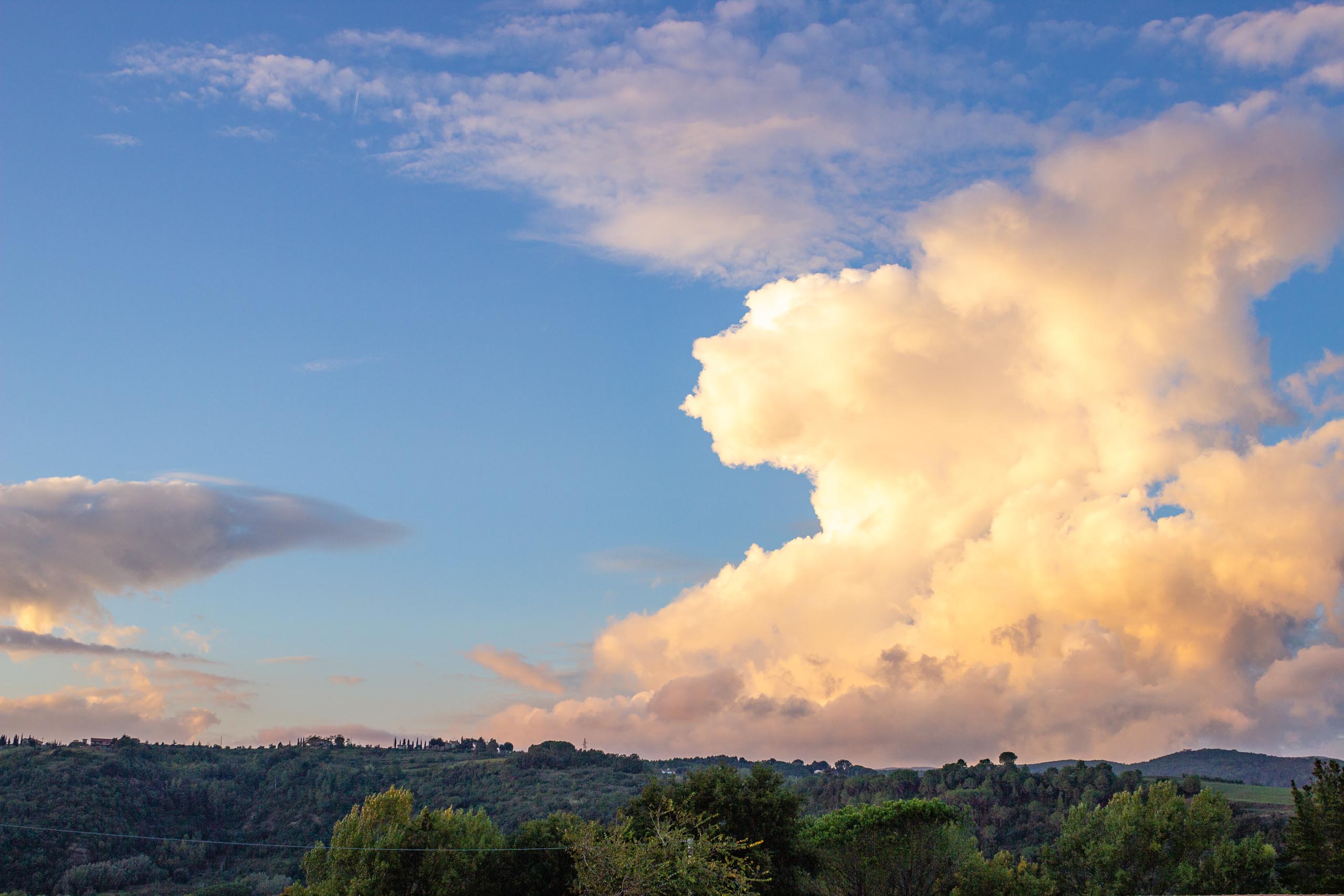 2013 10 Toskana Montescudaio 015