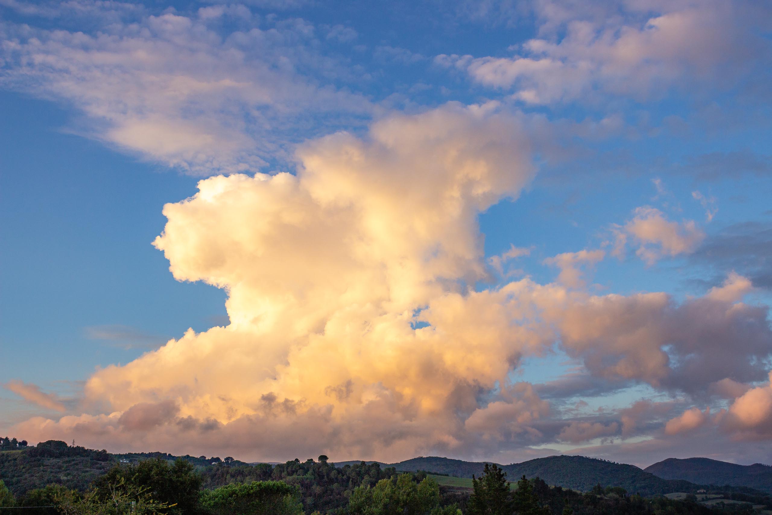 2013 10 Toskana Montescudaio 016