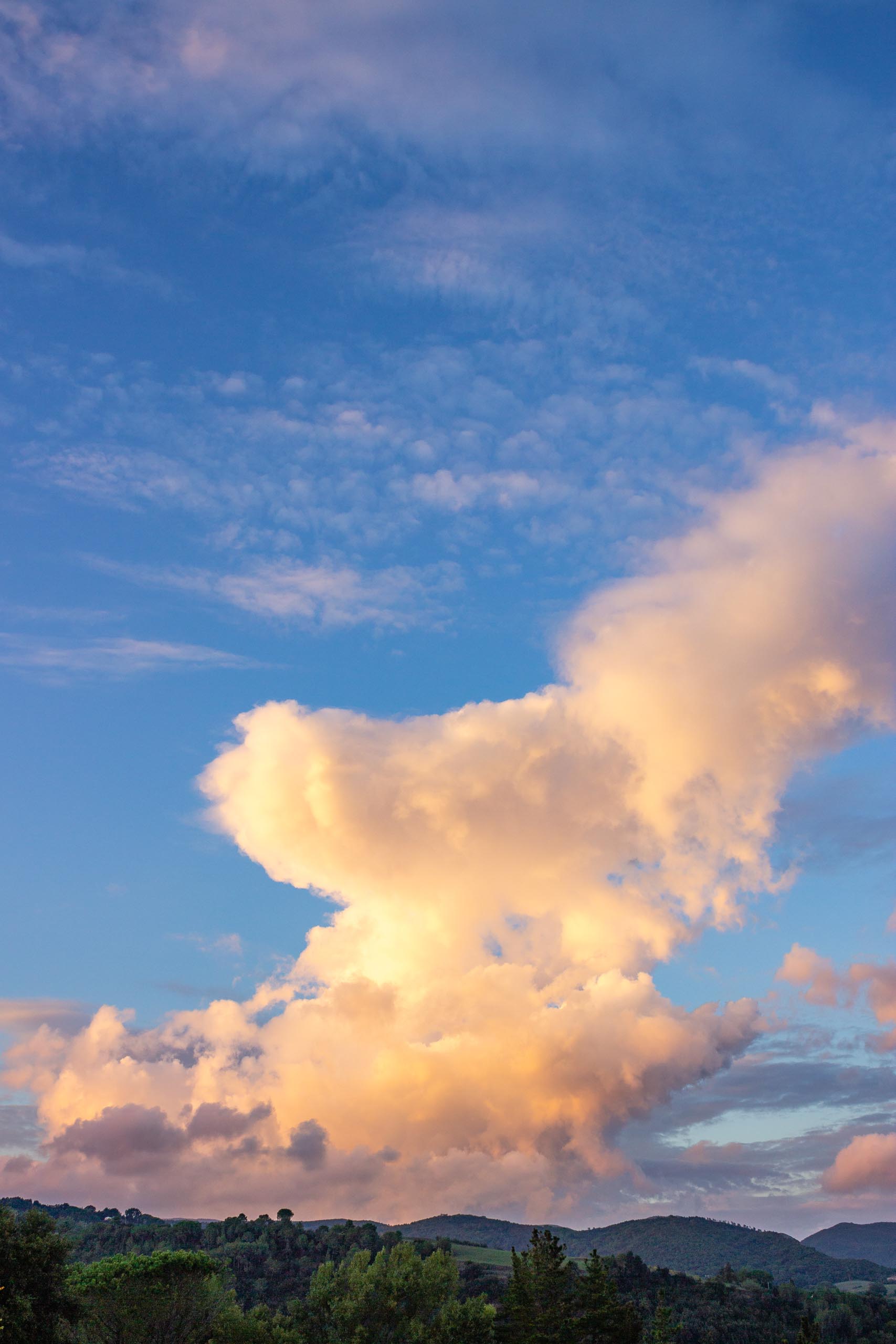 2013 10 Toskana Montescudaio 017