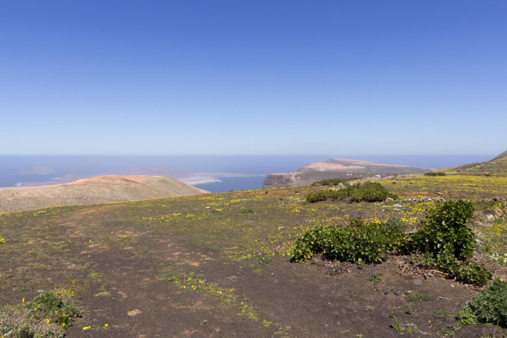 2014 02 Lanzarote CalleLaCaldera 001