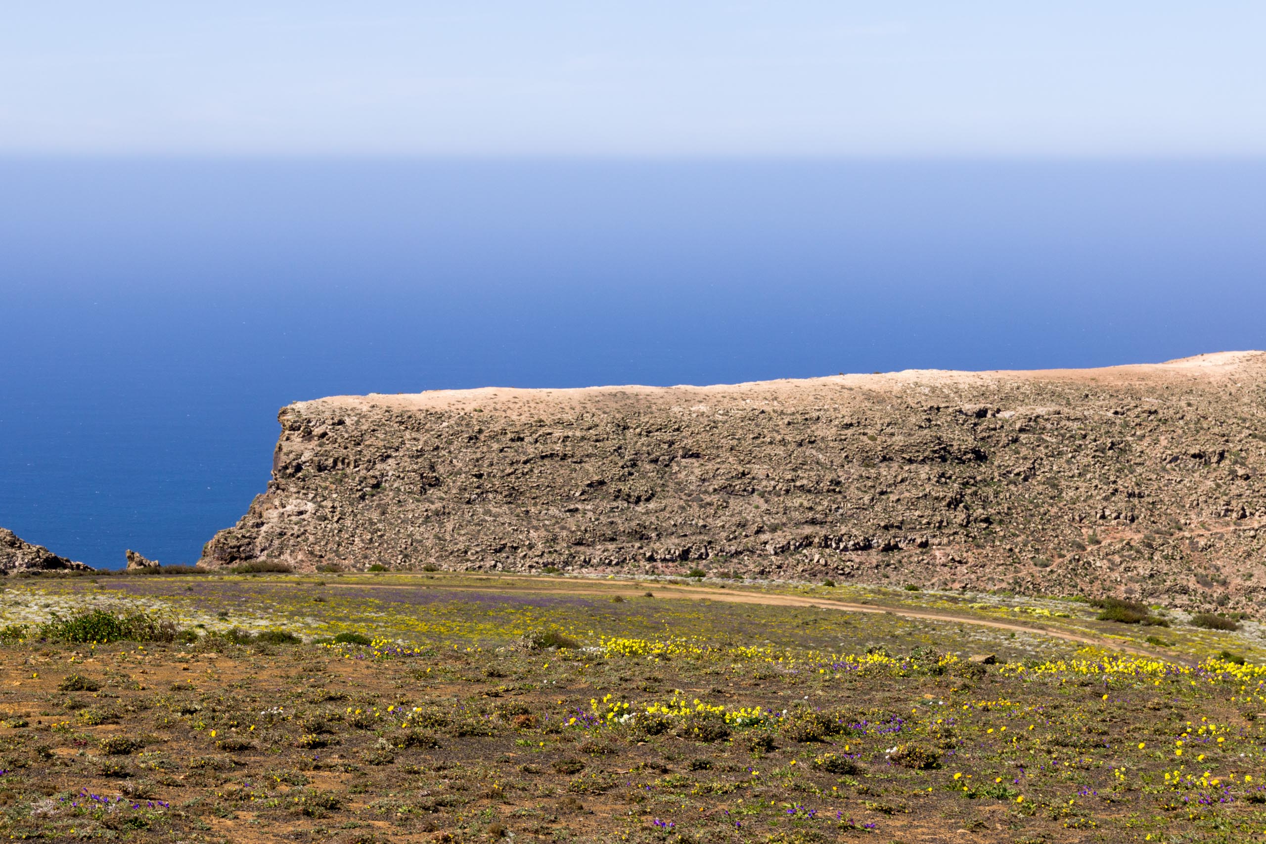 2014 02 Lanzarote CalleLaCaldera 006
