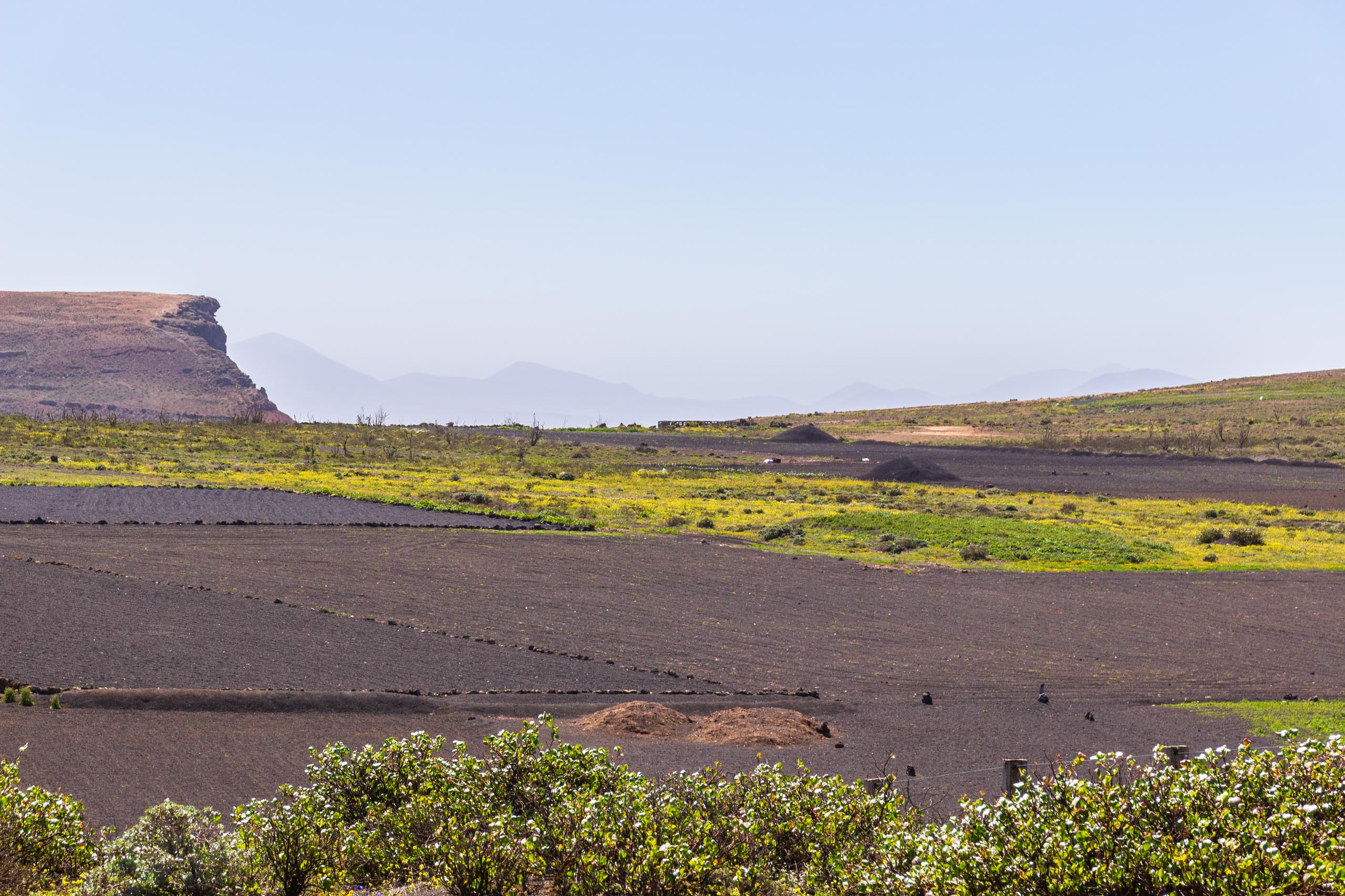 2014 02 Lanzarote CalleLaCaldera 008
