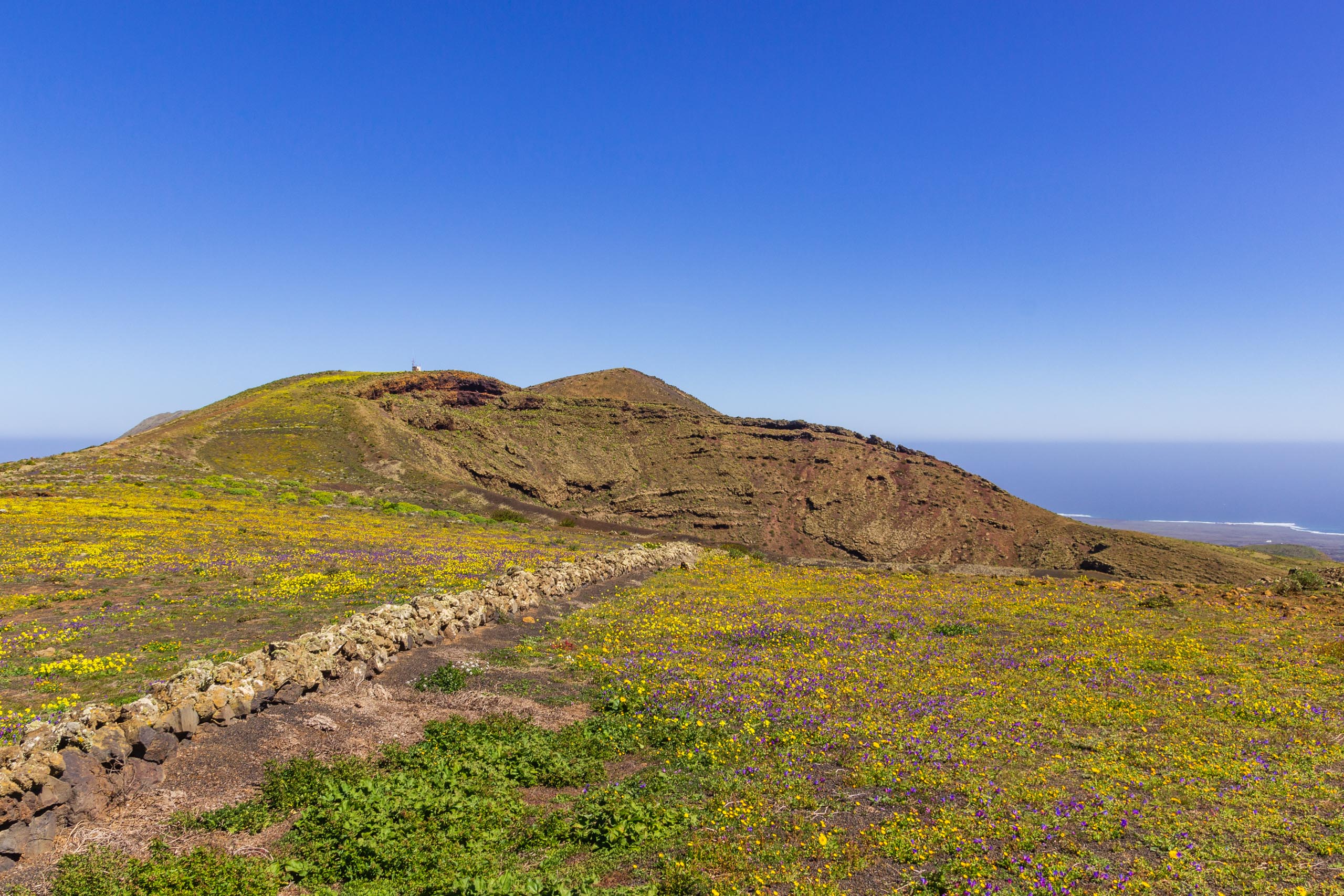 2014 02 Lanzarote CalleLaCaldera 009