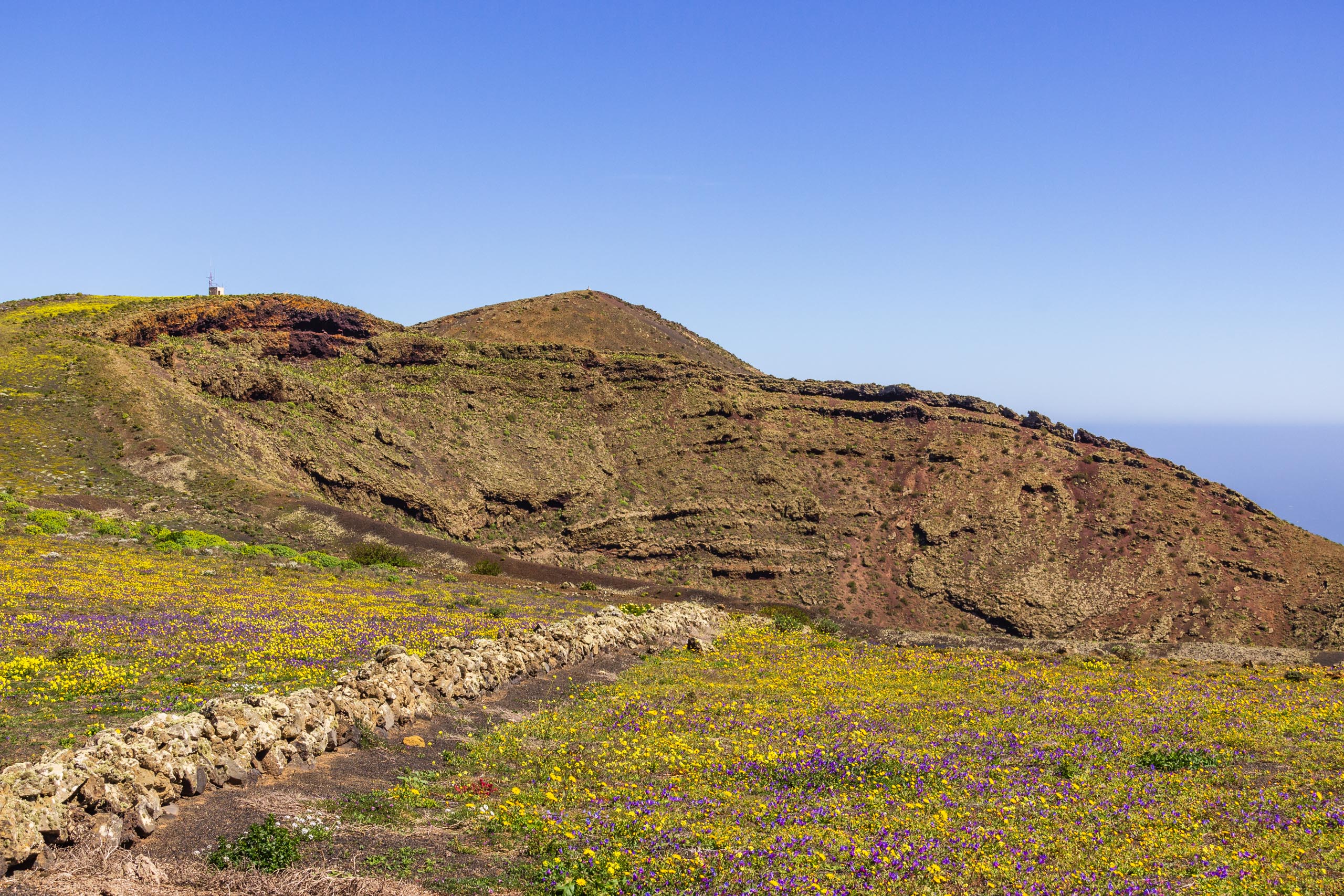 2014 02 Lanzarote CalleLaCaldera 010