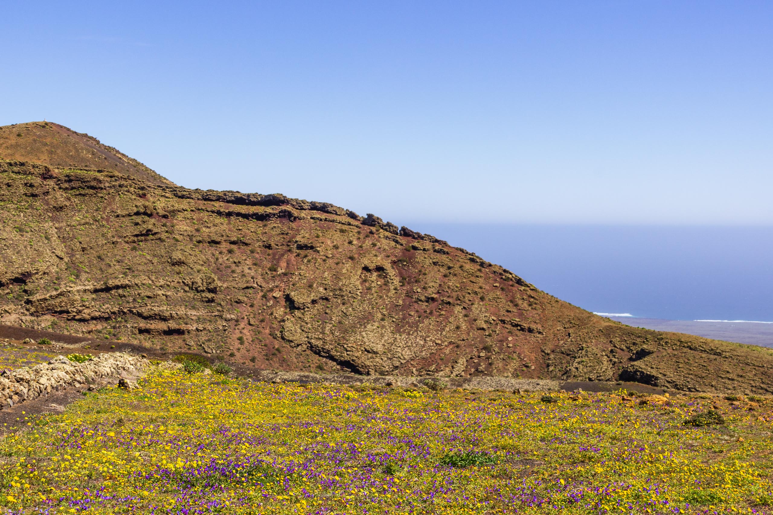 2014 02 Lanzarote CalleLaCaldera 011