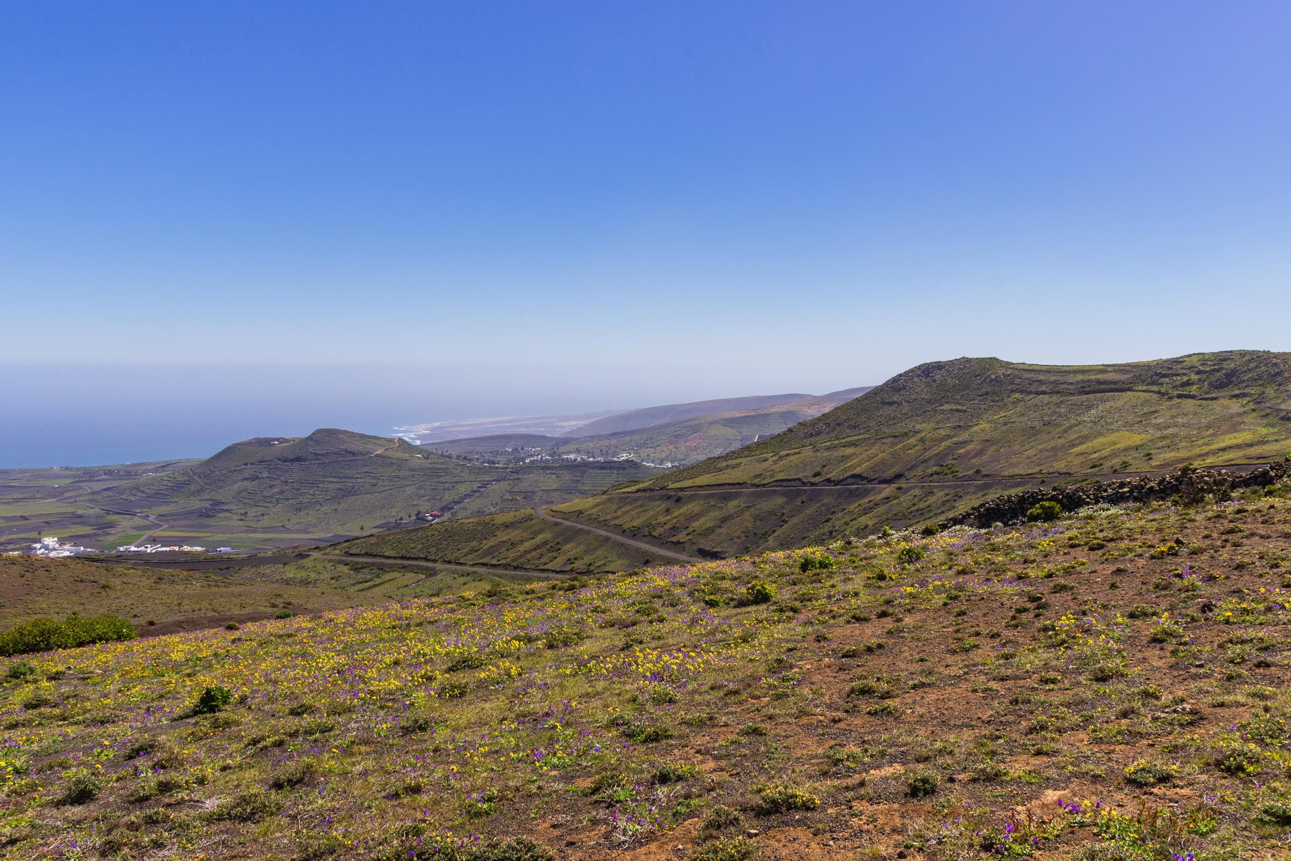 2014 02 Lanzarote CalleLaCaldera 013