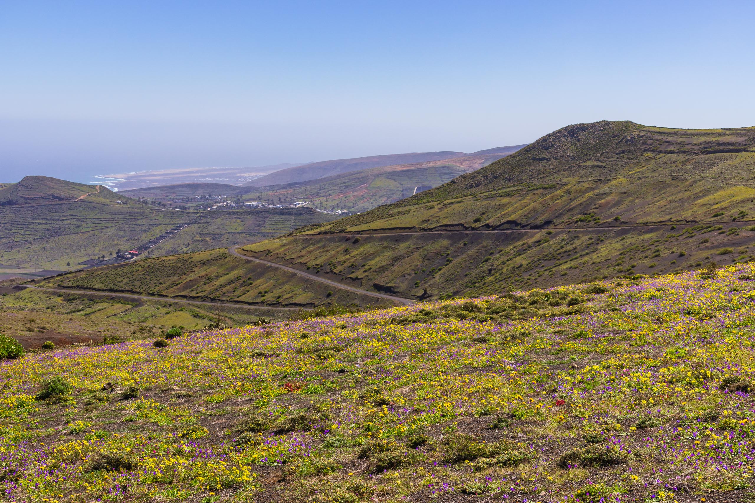 2014 02 Lanzarote CalleLaCaldera 014