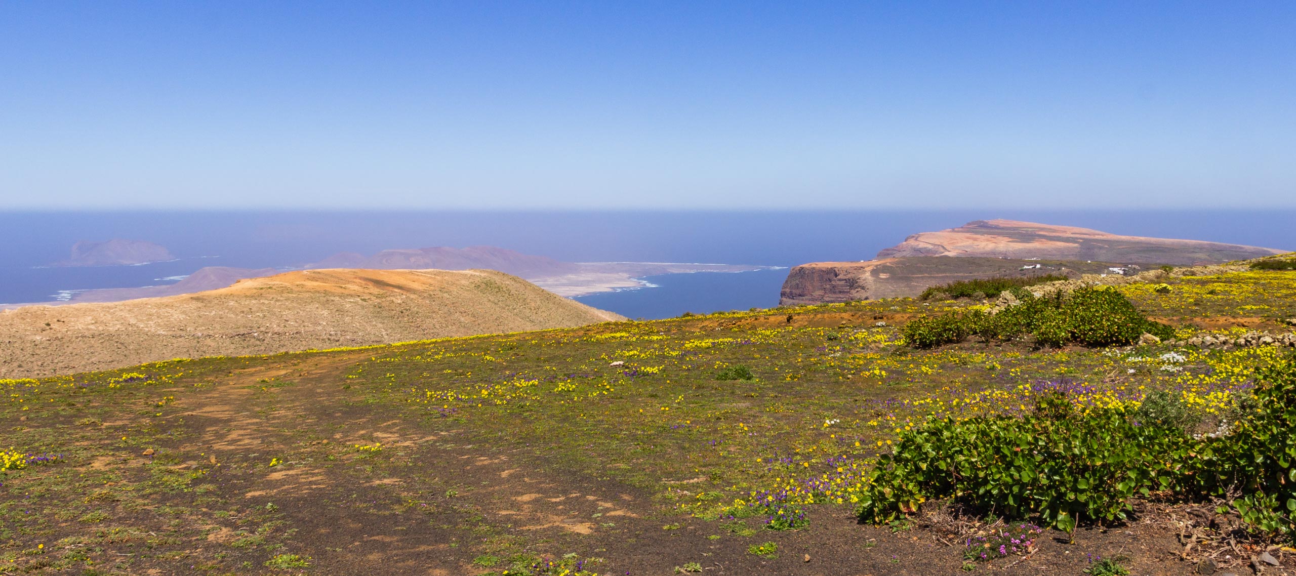 2014 02 Lanzarote CalleLaCaldera 019