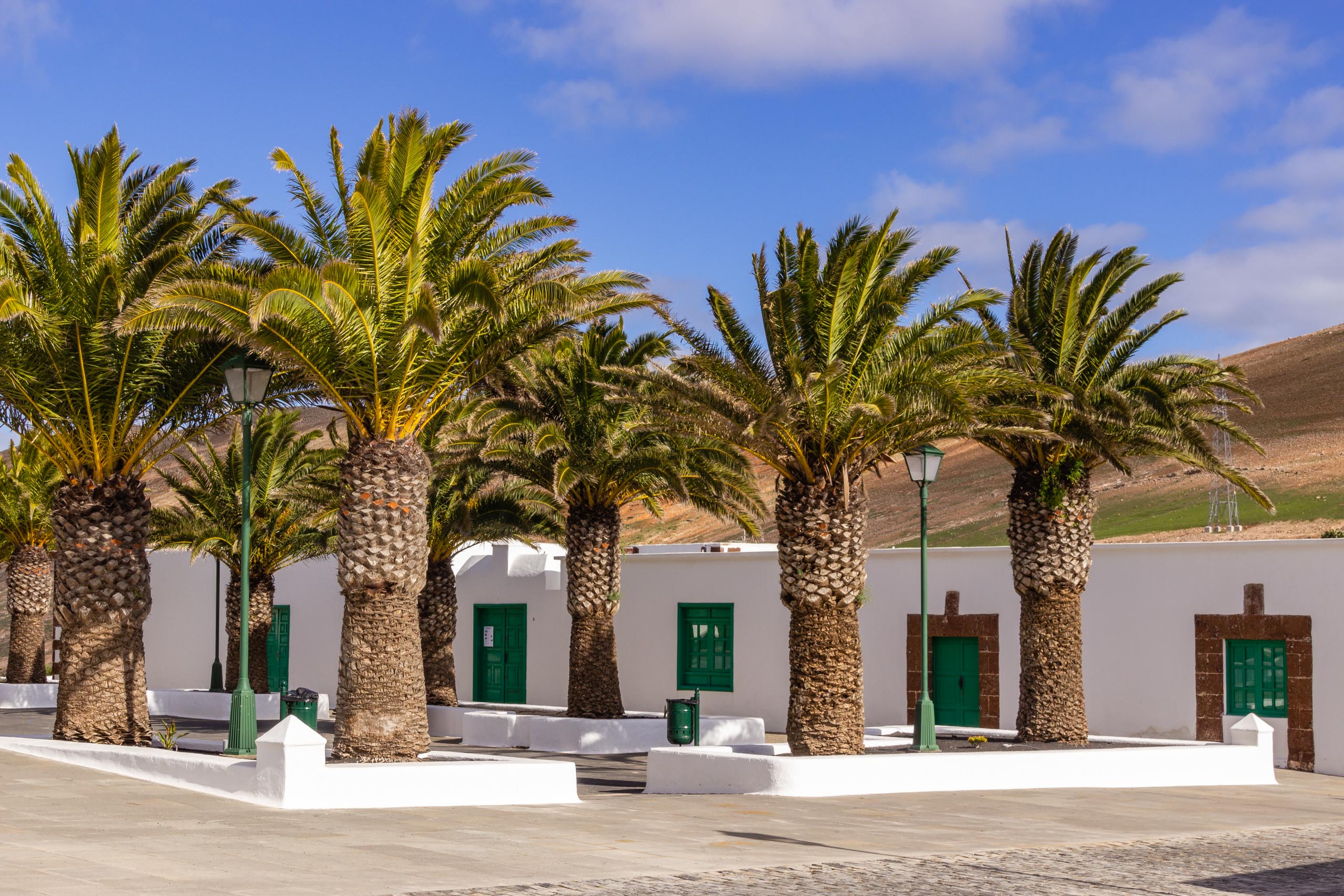 2014 02 Lanzarote Femes 008