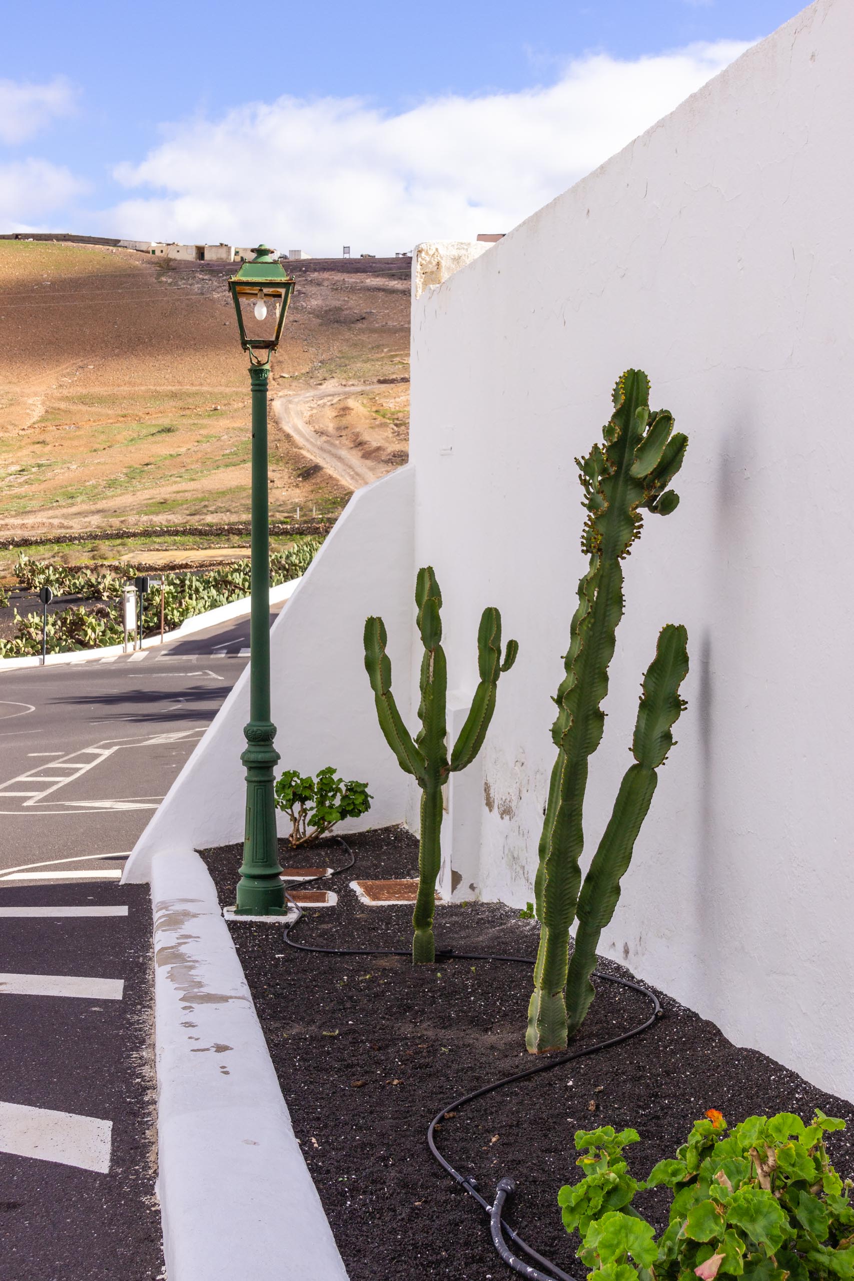 2014 02 Lanzarote Femes 009