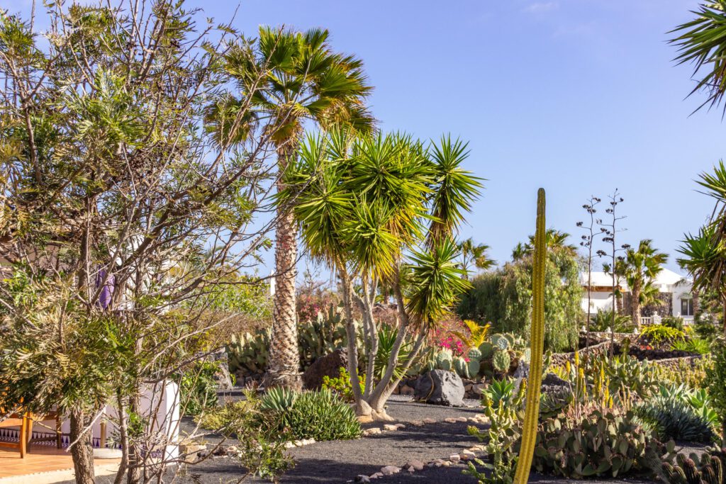 2014 02 Lanzarote Garden 001