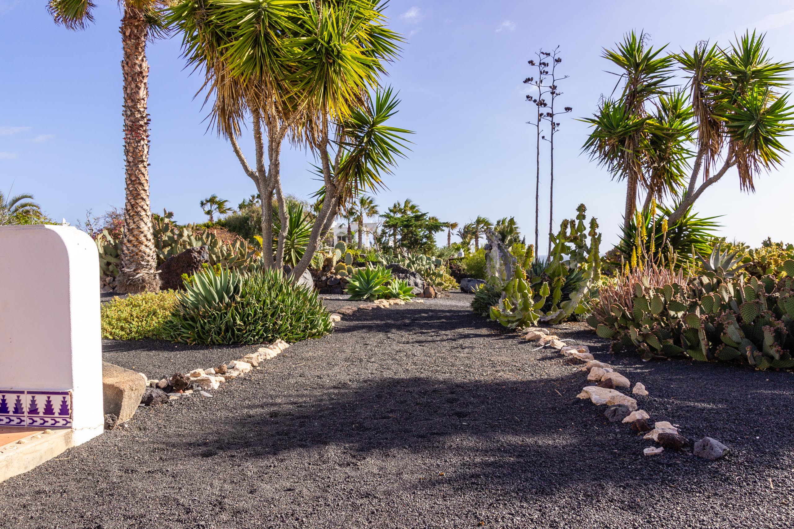 2014 02 Lanzarote Garden 008