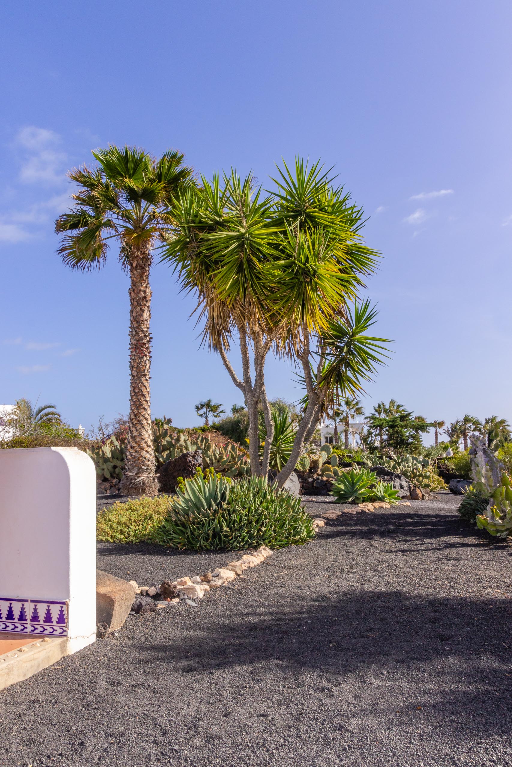 2014 02 Lanzarote Garden 009