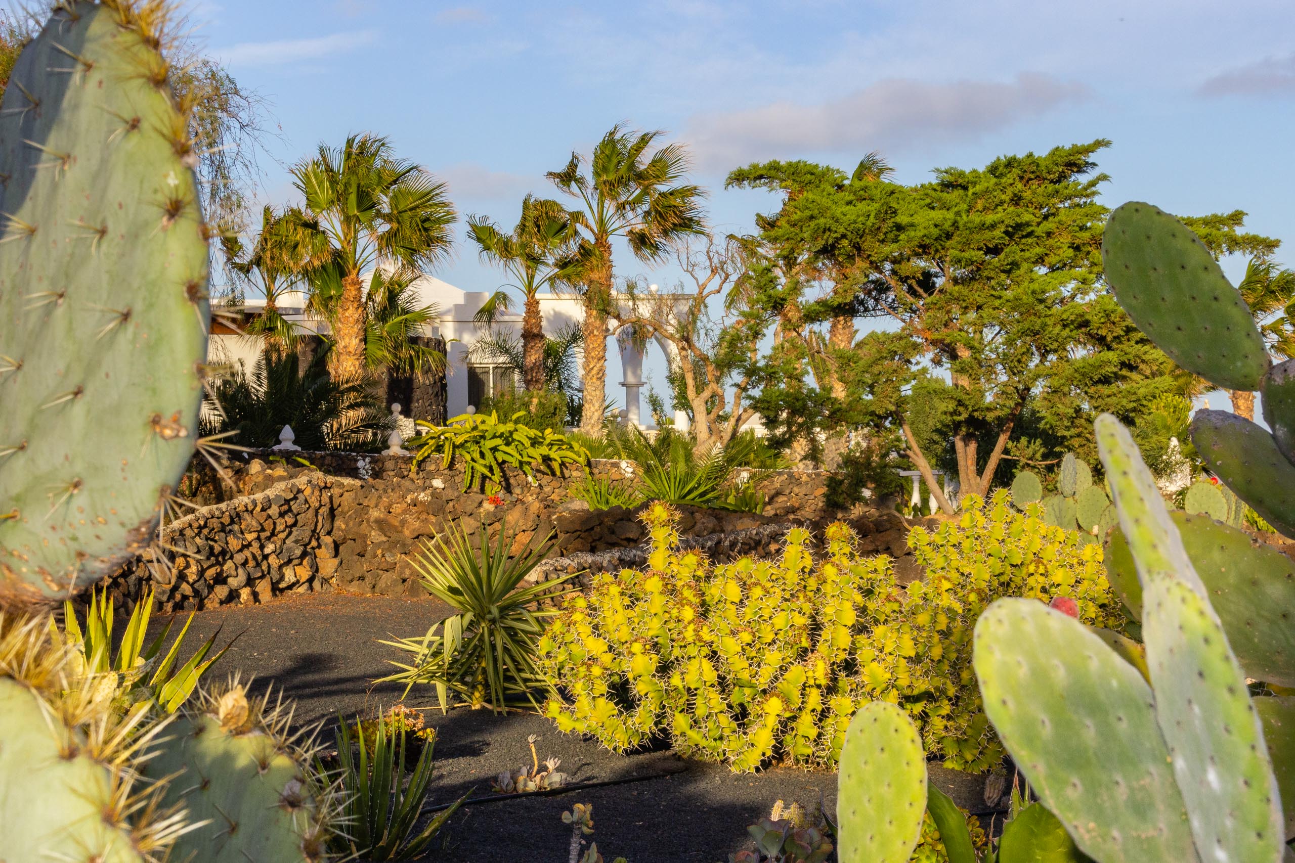 2014 02 Lanzarote Garden 016