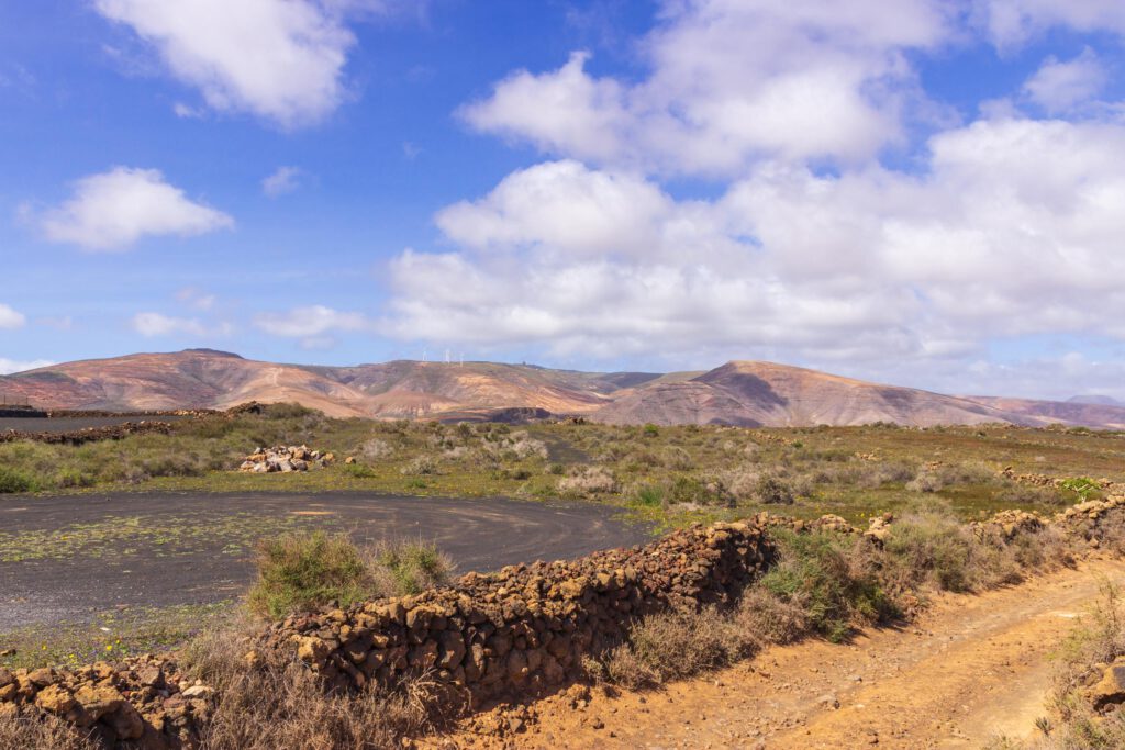 2014 02 Lanzarote Guatiza 001