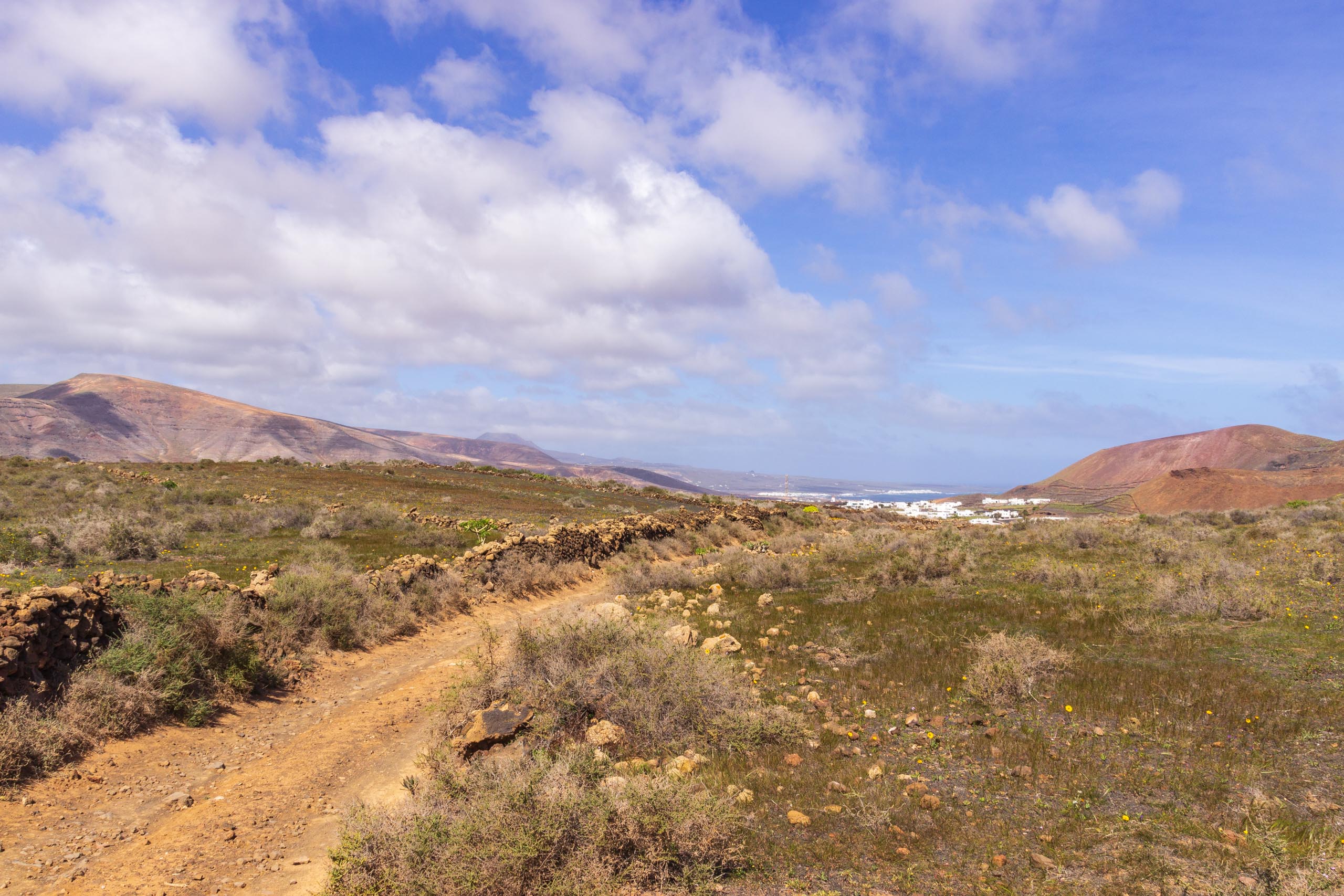 2014 02 Lanzarote Guatiza 002