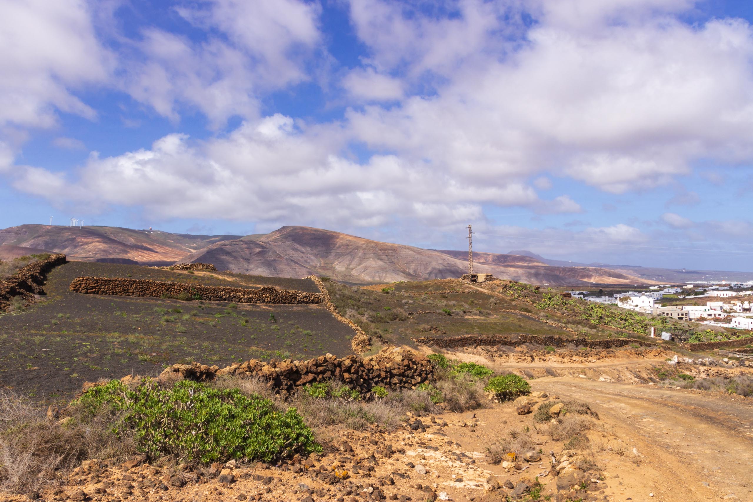 2014 02 Lanzarote Guatiza 004