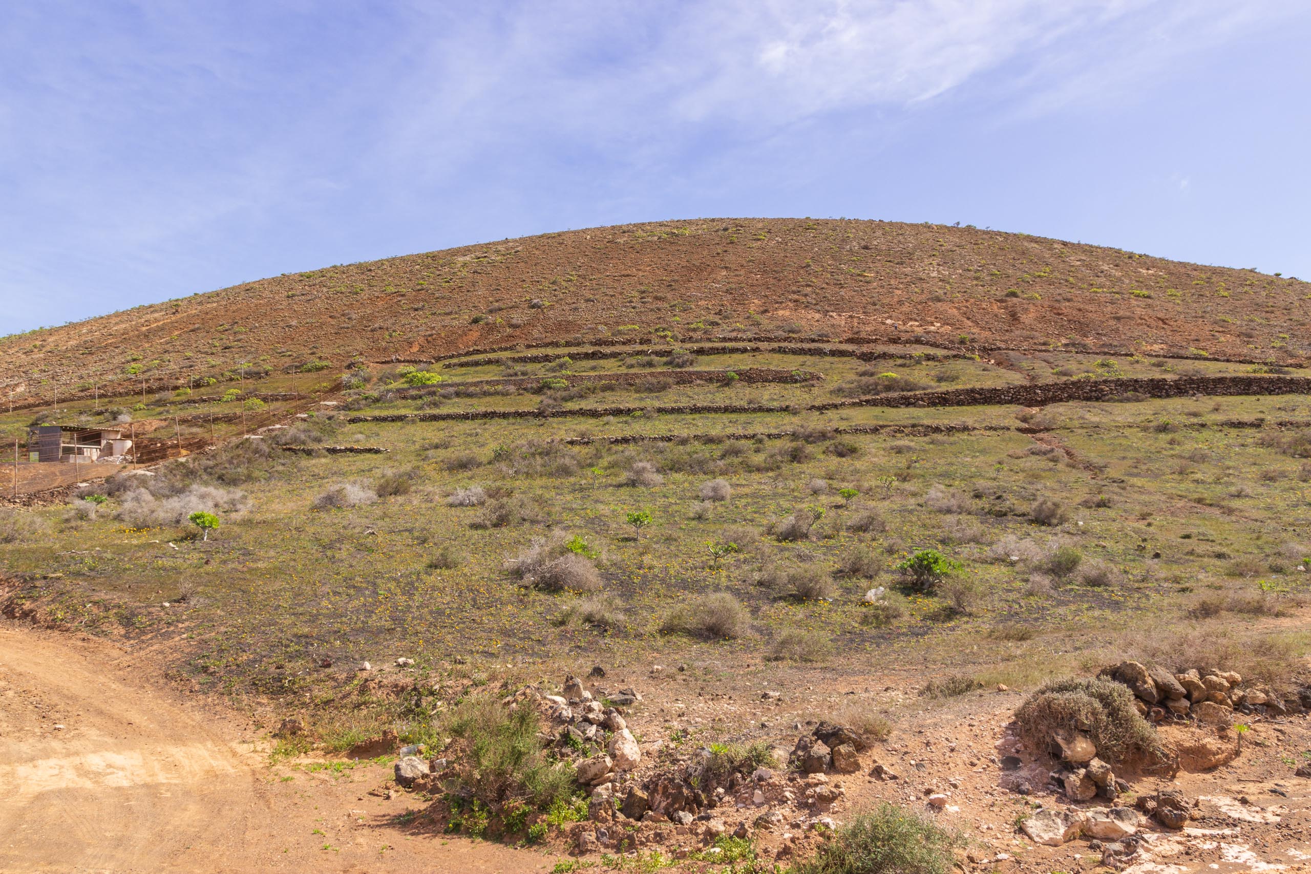2014 02 Lanzarote Guatiza 005