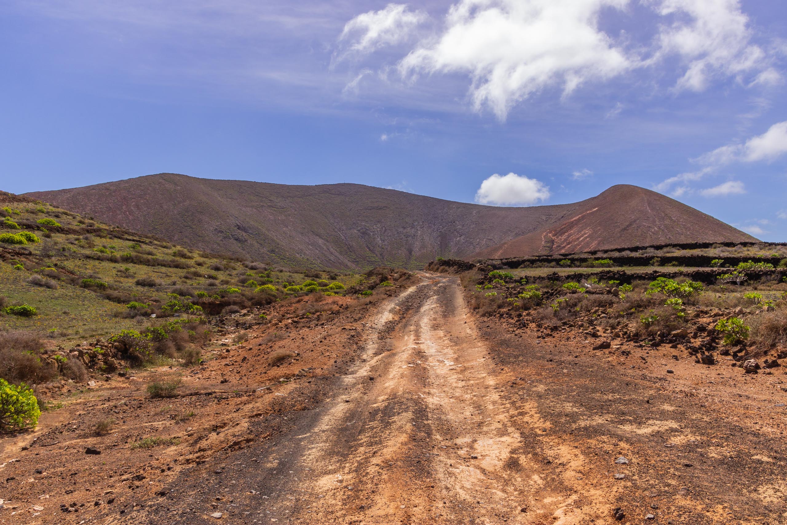2014 02 Lanzarote Guatiza 006