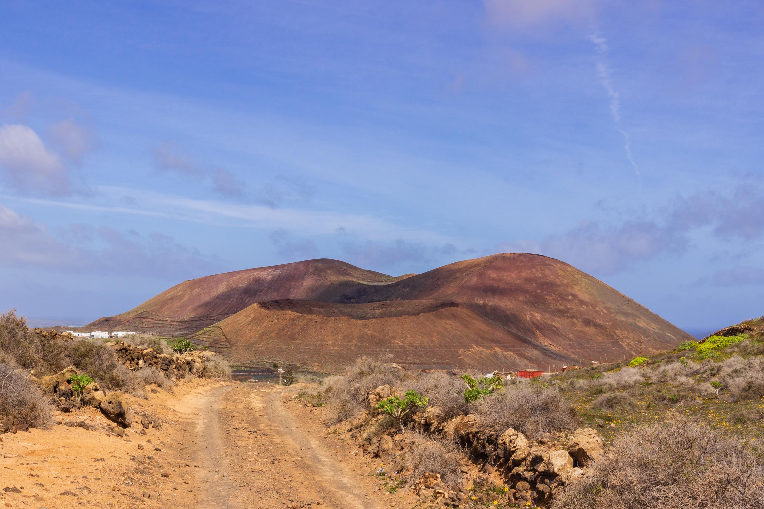 2014 02 Lanzarote Guatiza 009
