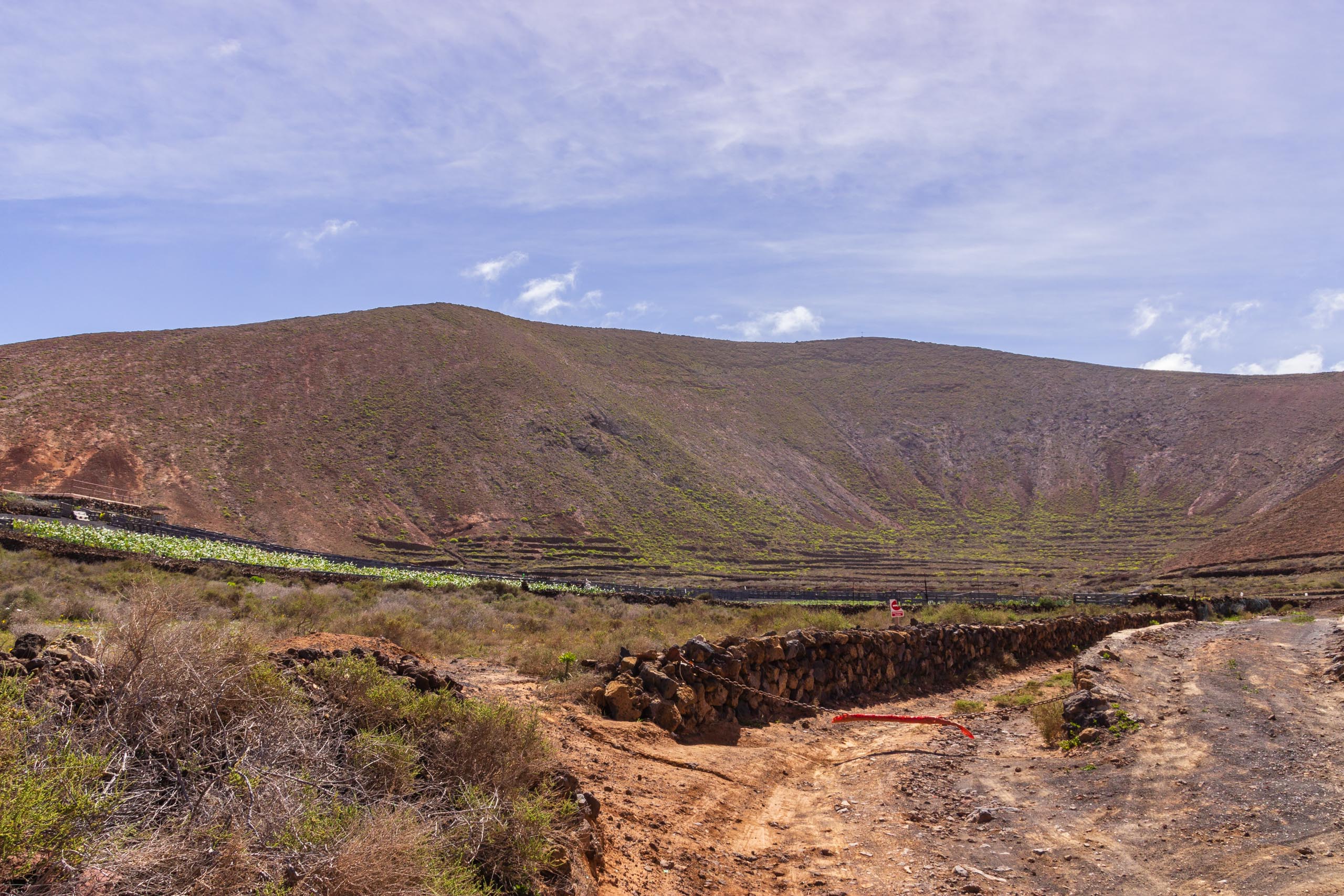 2014 02 Lanzarote Guatiza 012