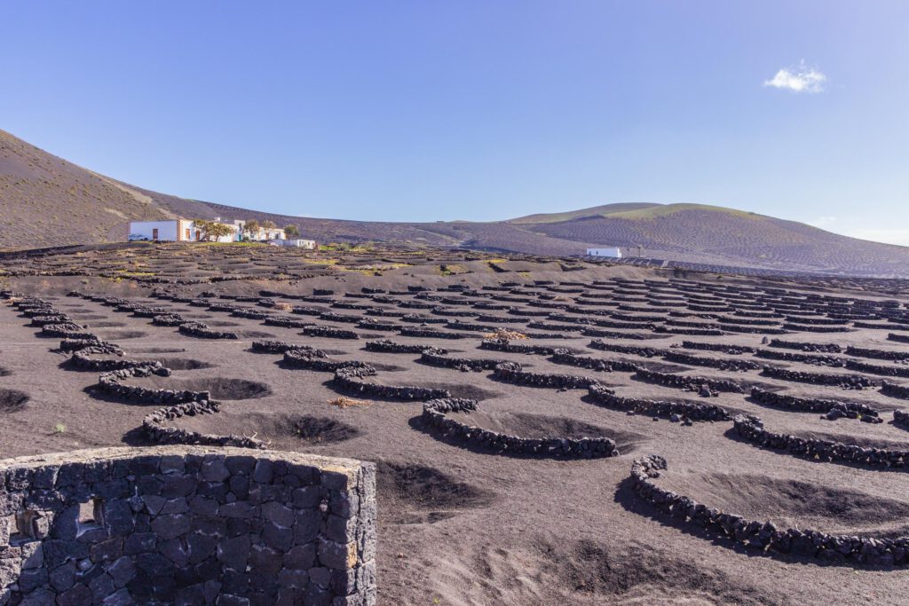 2014 02 Lanzarote LaGeria 001