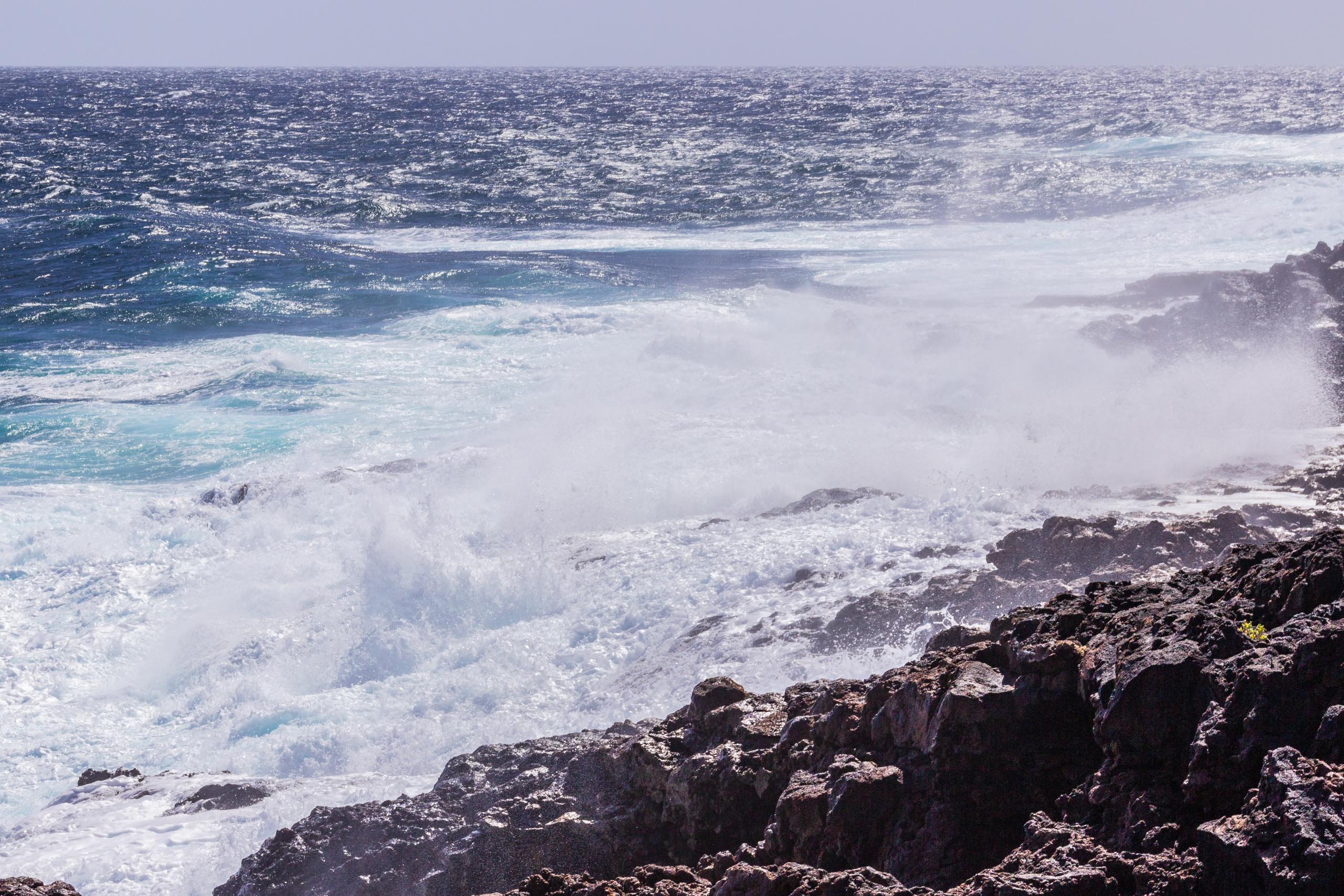 2014 02 Lanzarote LosCocoteros 009