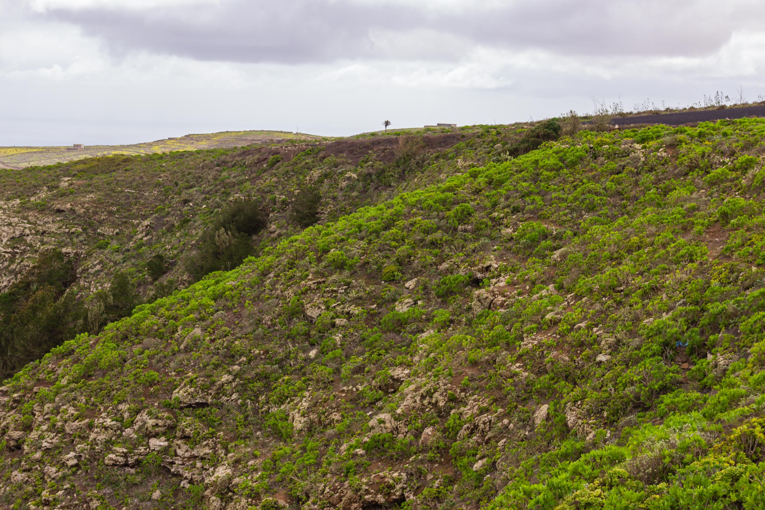 2014 02 Lanzarote MiradorDelHaria 007