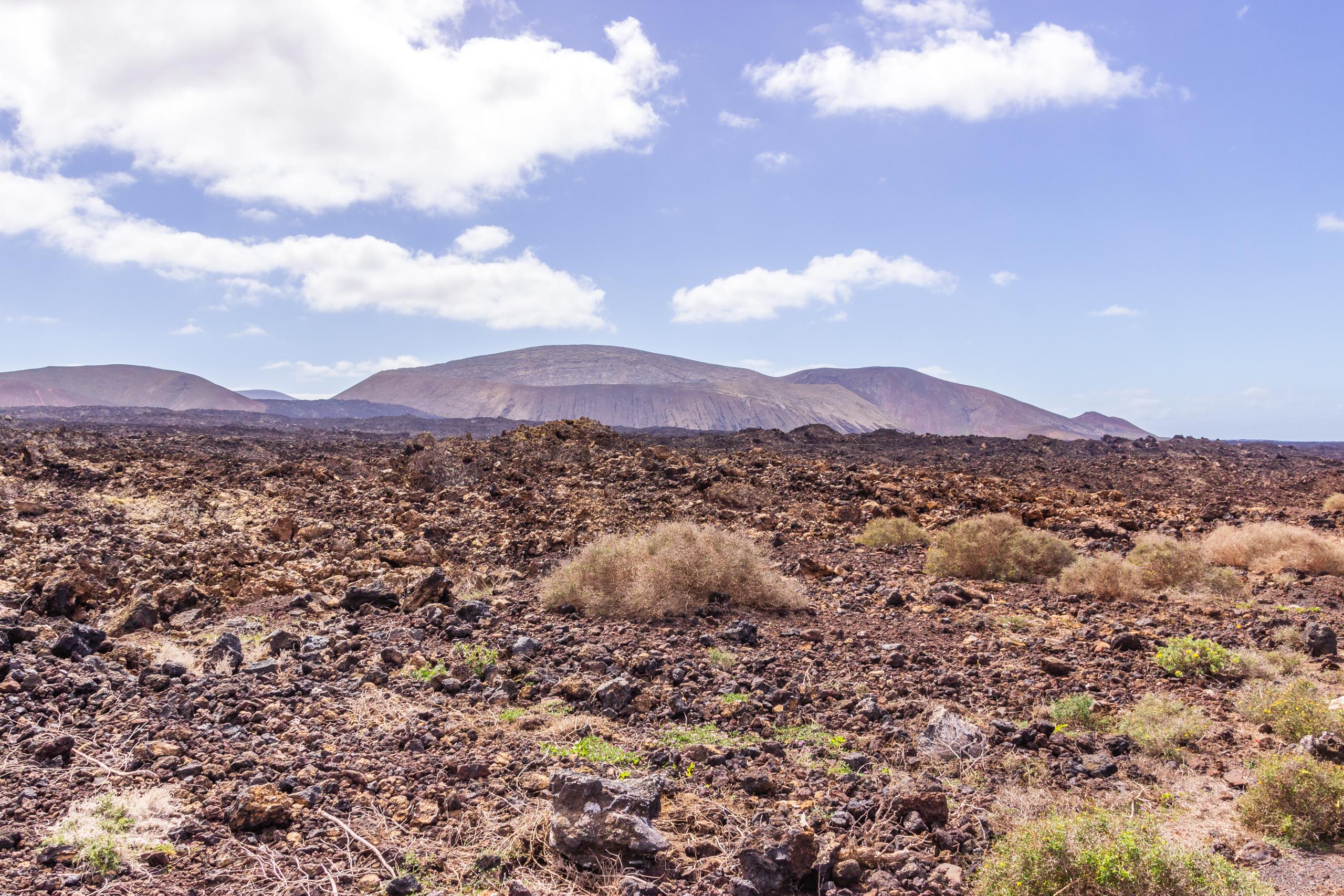 2014 02 Lanzarote TenesarOrLasMalvas 006
