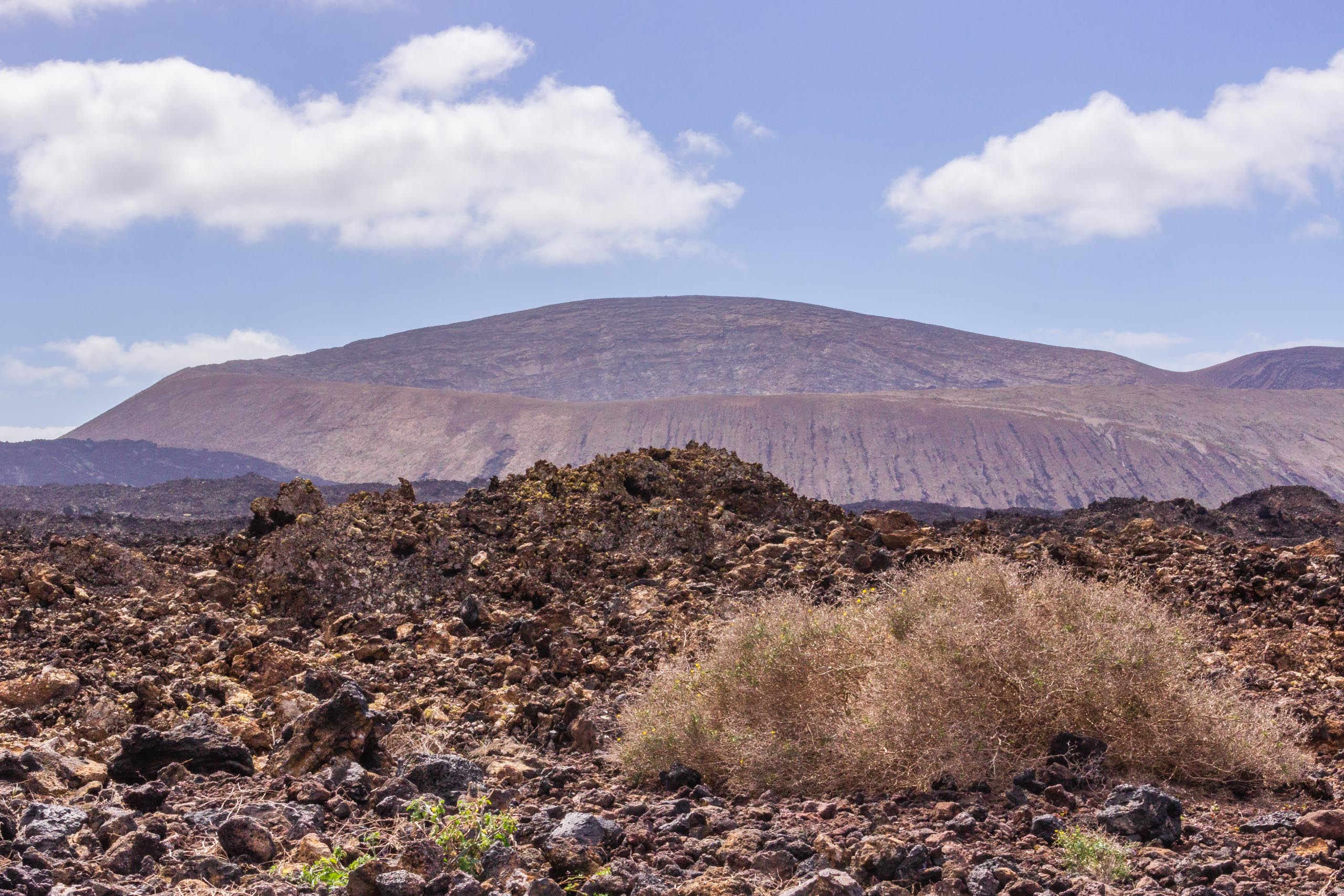2014 02 Lanzarote TenesarOrLasMalvas 007