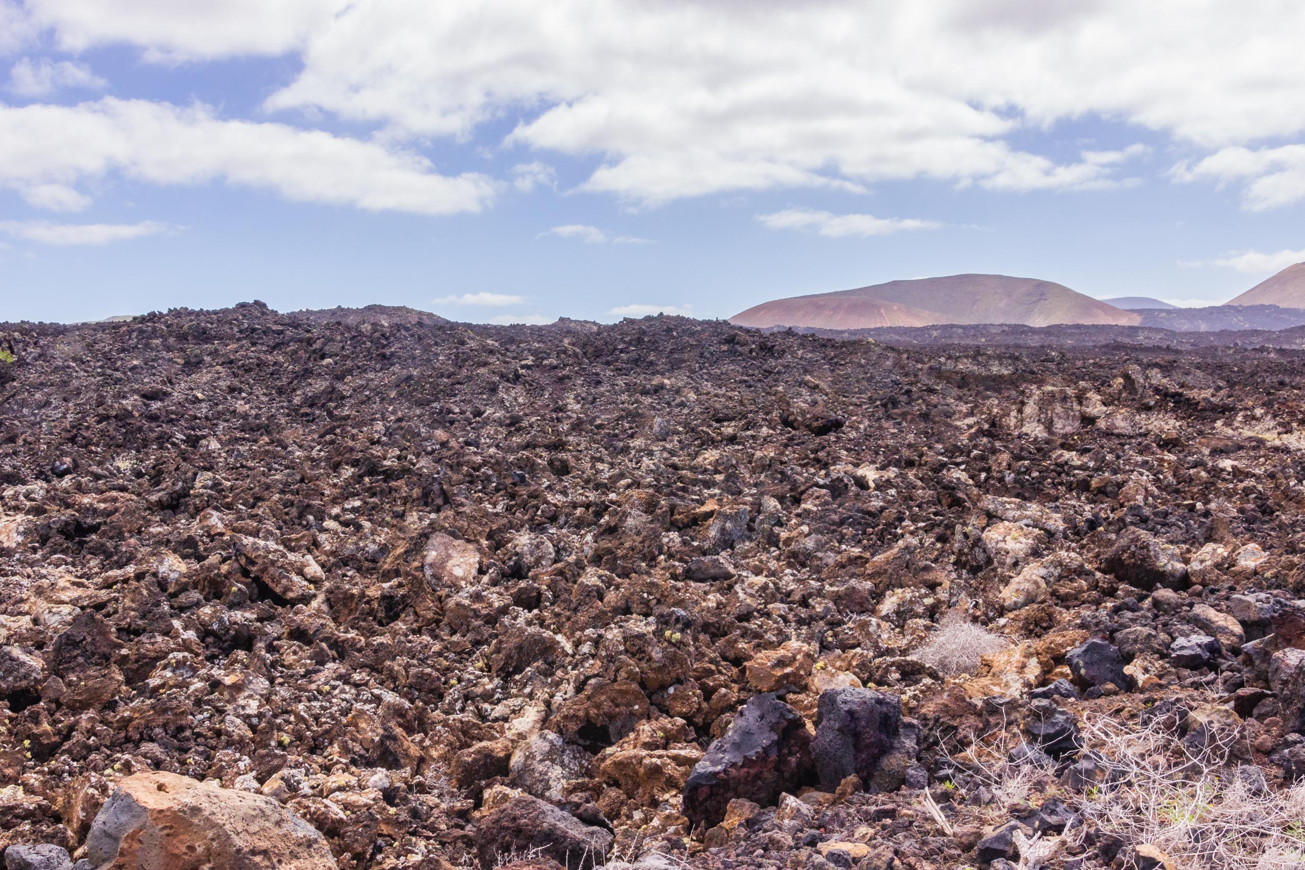 2014 02 Lanzarote TenesarOrLasMalvas 008
