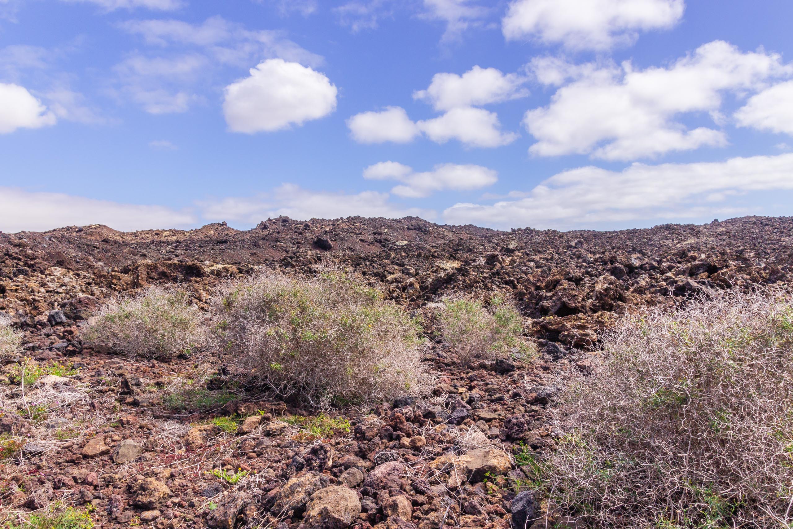 2014 02 Lanzarote TenesarOrLasMalvas 009