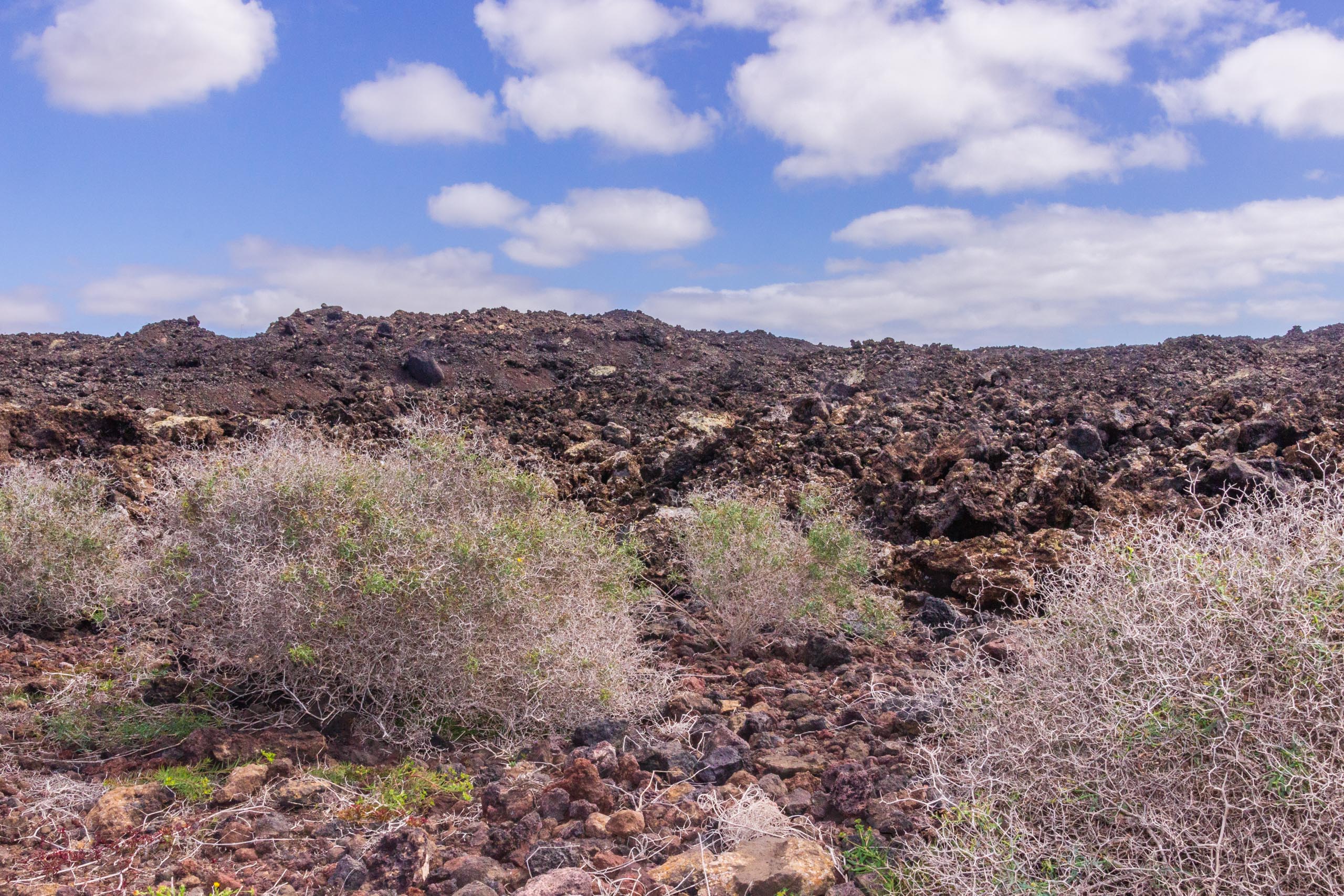2014 02 Lanzarote TenesarOrLasMalvas 010