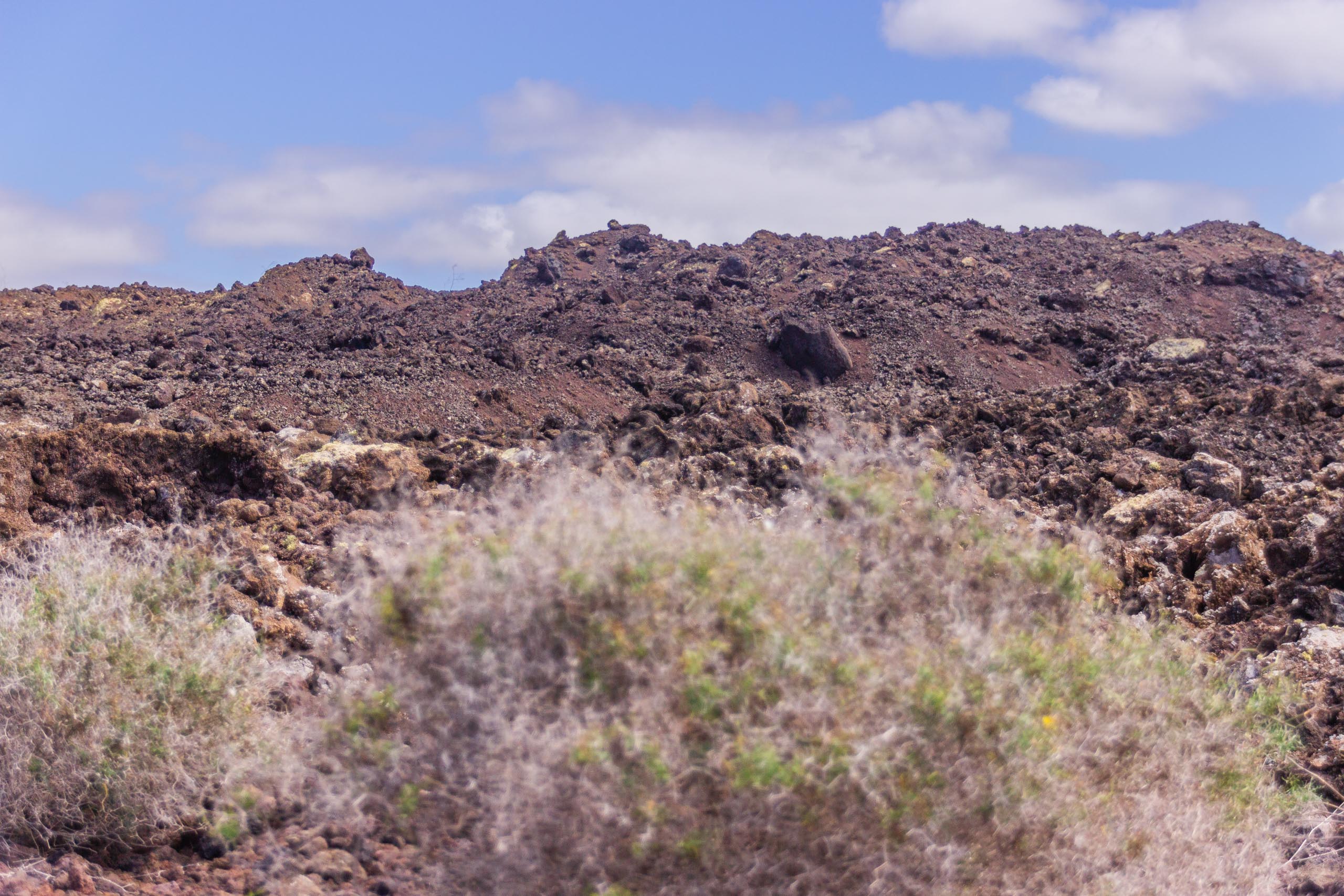 2014 02 Lanzarote TenesarOrLasMalvas 011