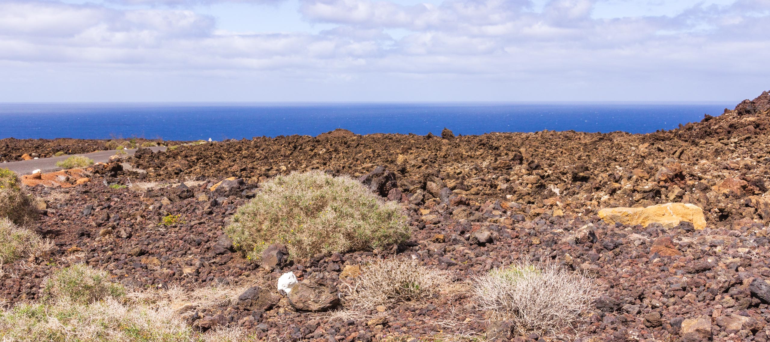 2014 02 Lanzarote TenesarOrLasMalvas 013