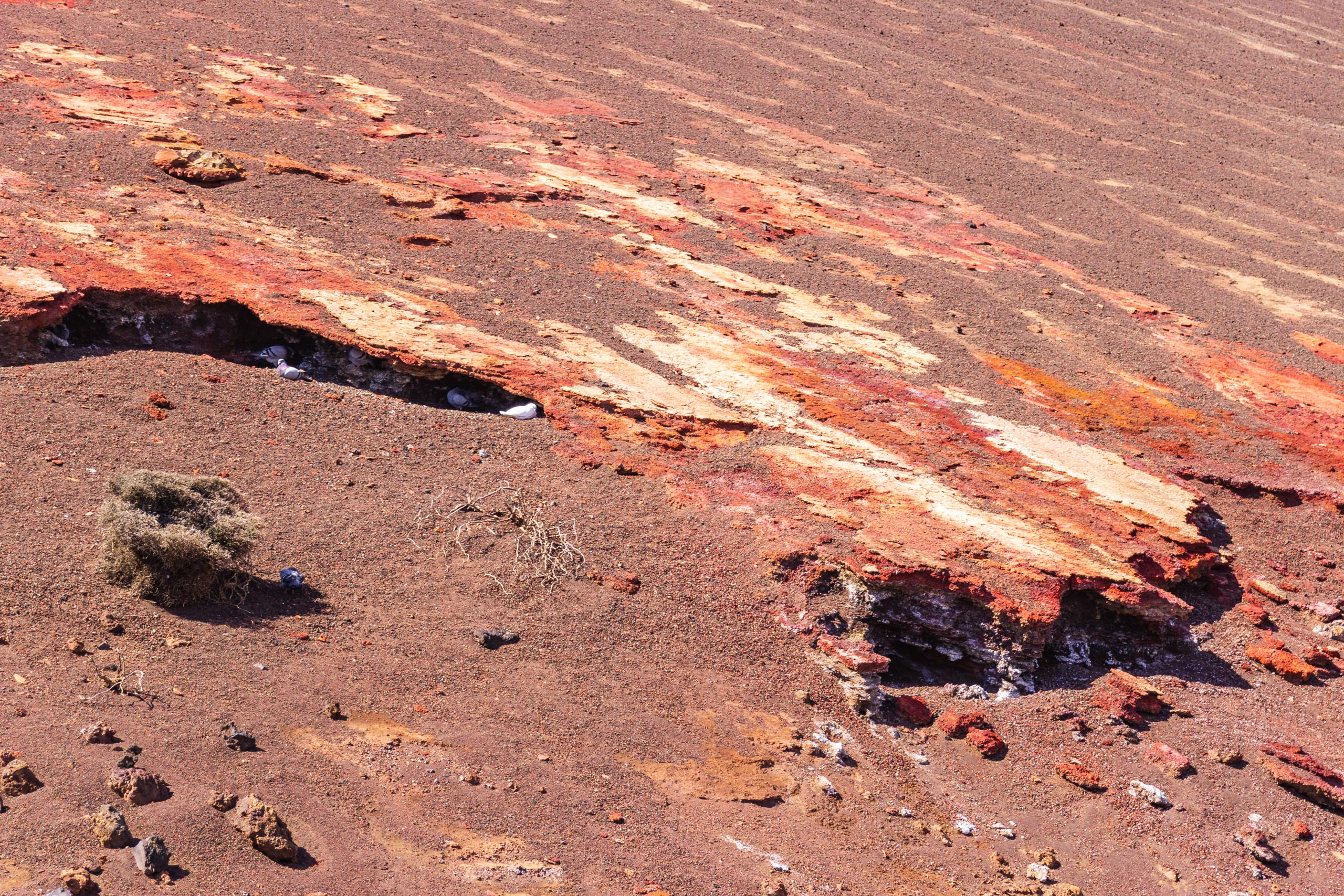 2014 02 Lanzarote Timanfaya 015