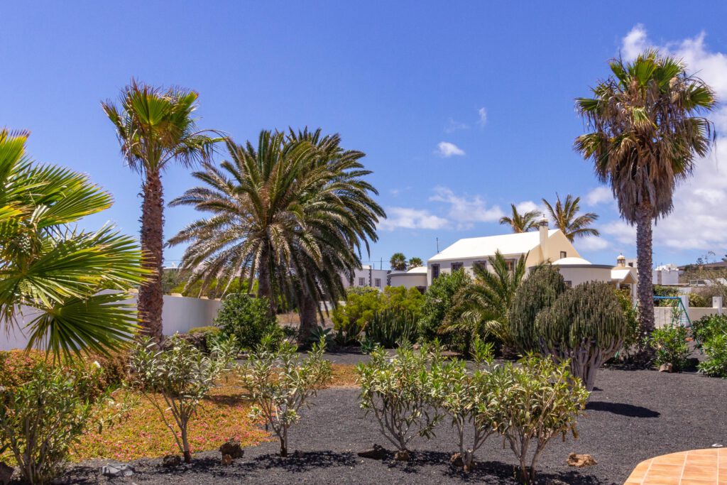 2014 06 Lanzarote Garden 001
