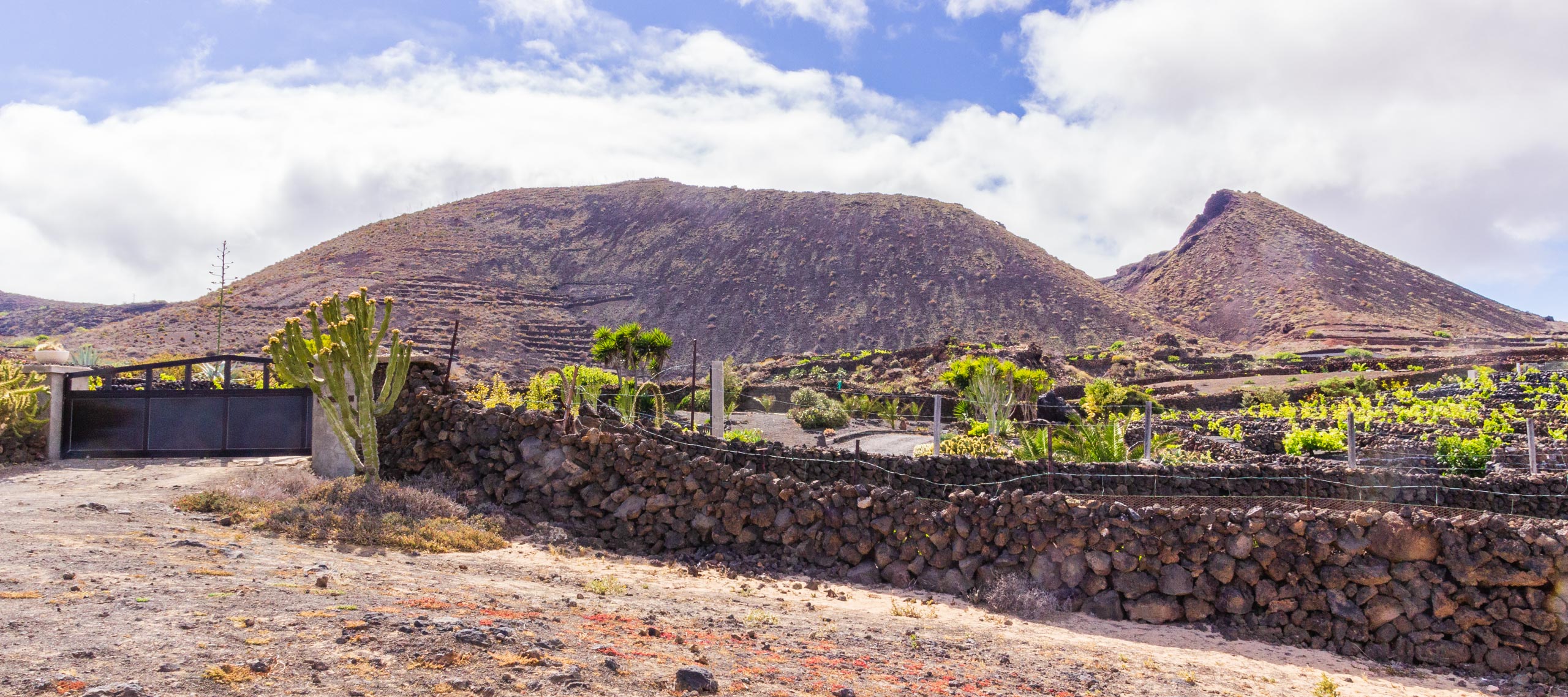 2014 06 Lanzarote GoingSouthFromÓrzola 005