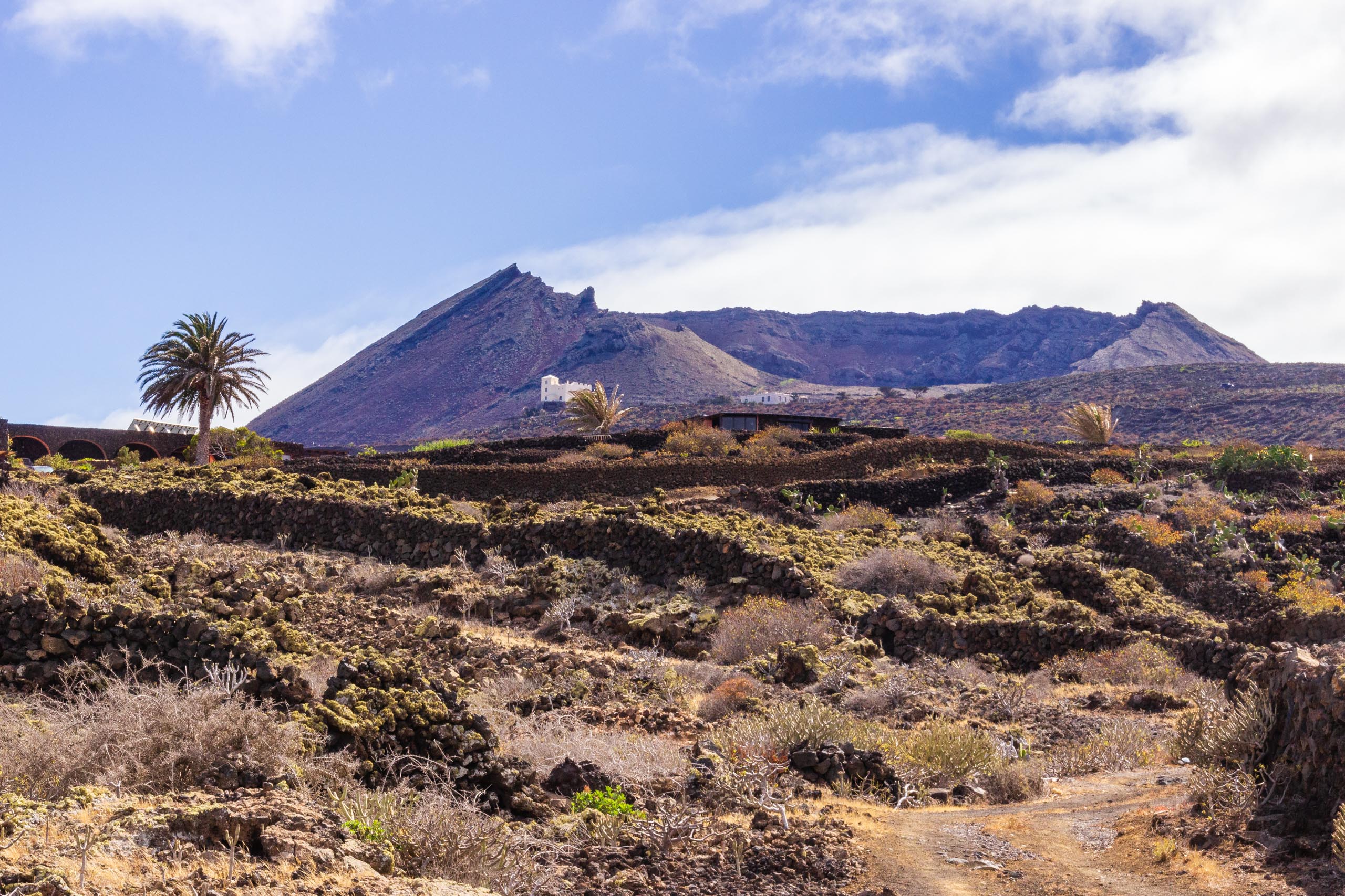 2014 06 Lanzarote GoingSouthFromÓrzola 006