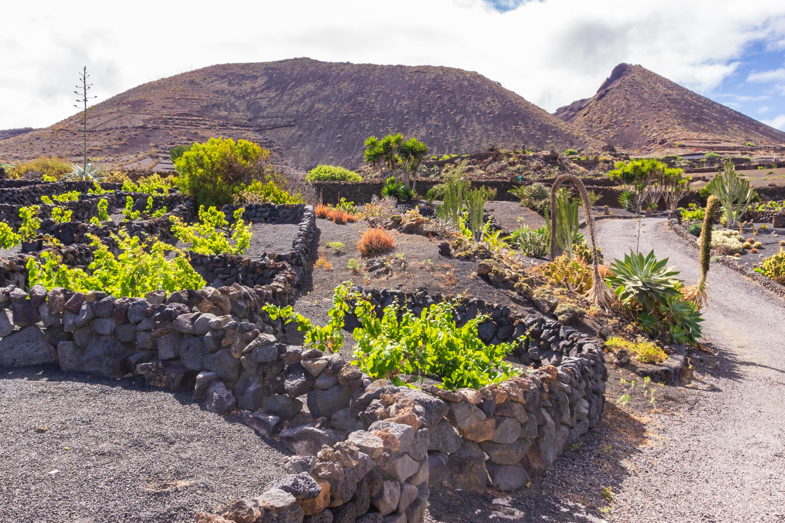 2014 06 Lanzarote GoingSouthFromÓrzola 009
