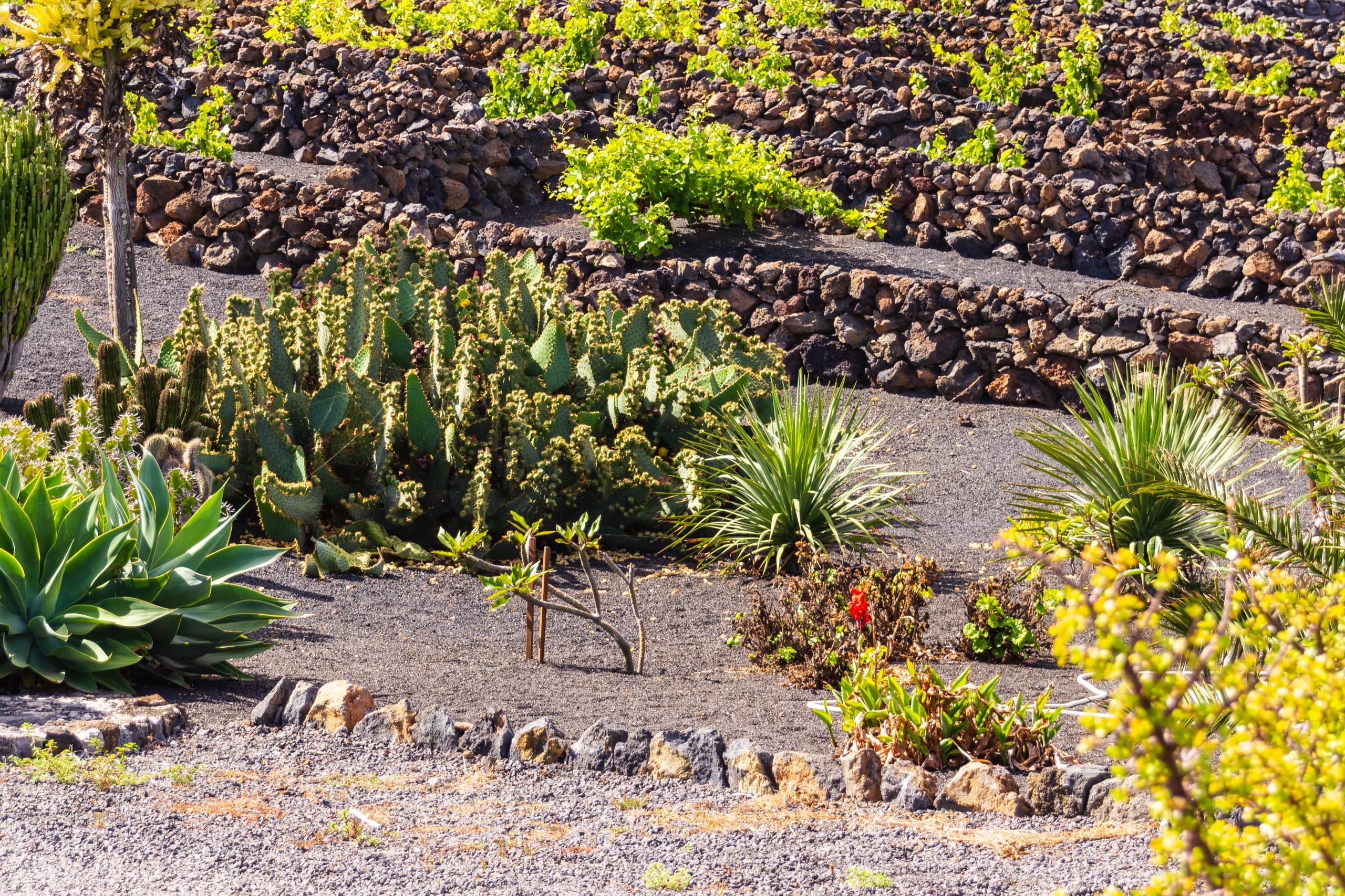 2014 06 Lanzarote GoingSouthFromÓrzola 010