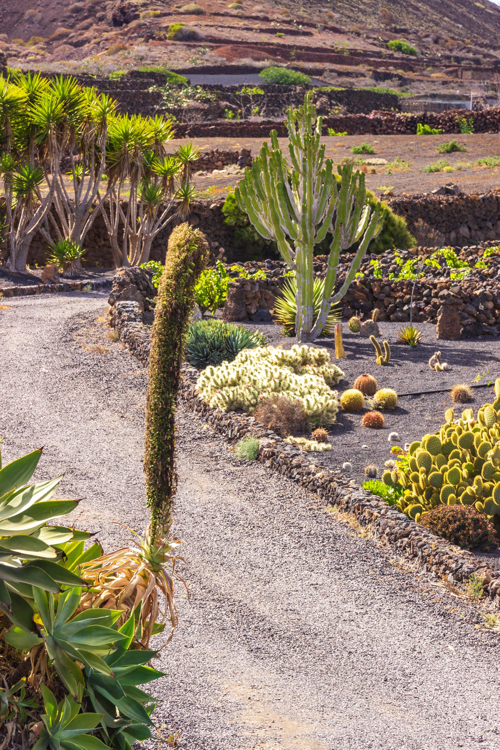 2014 06 Lanzarote GoingSouthFromÓrzola 013
