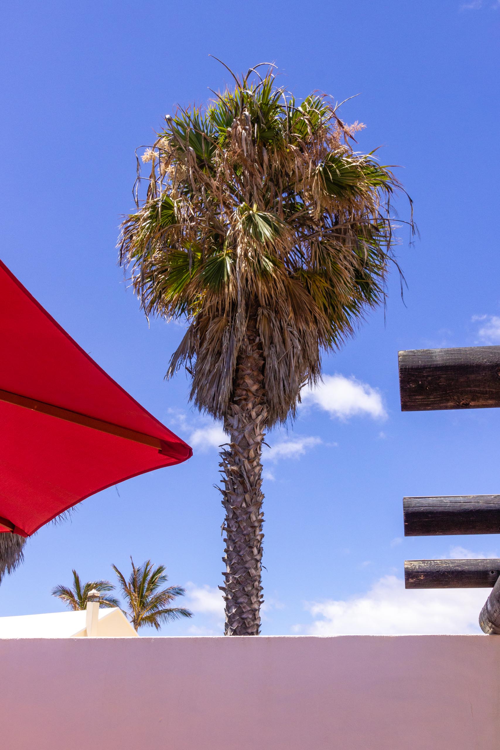 2014 06 Lanzarote Patio 010