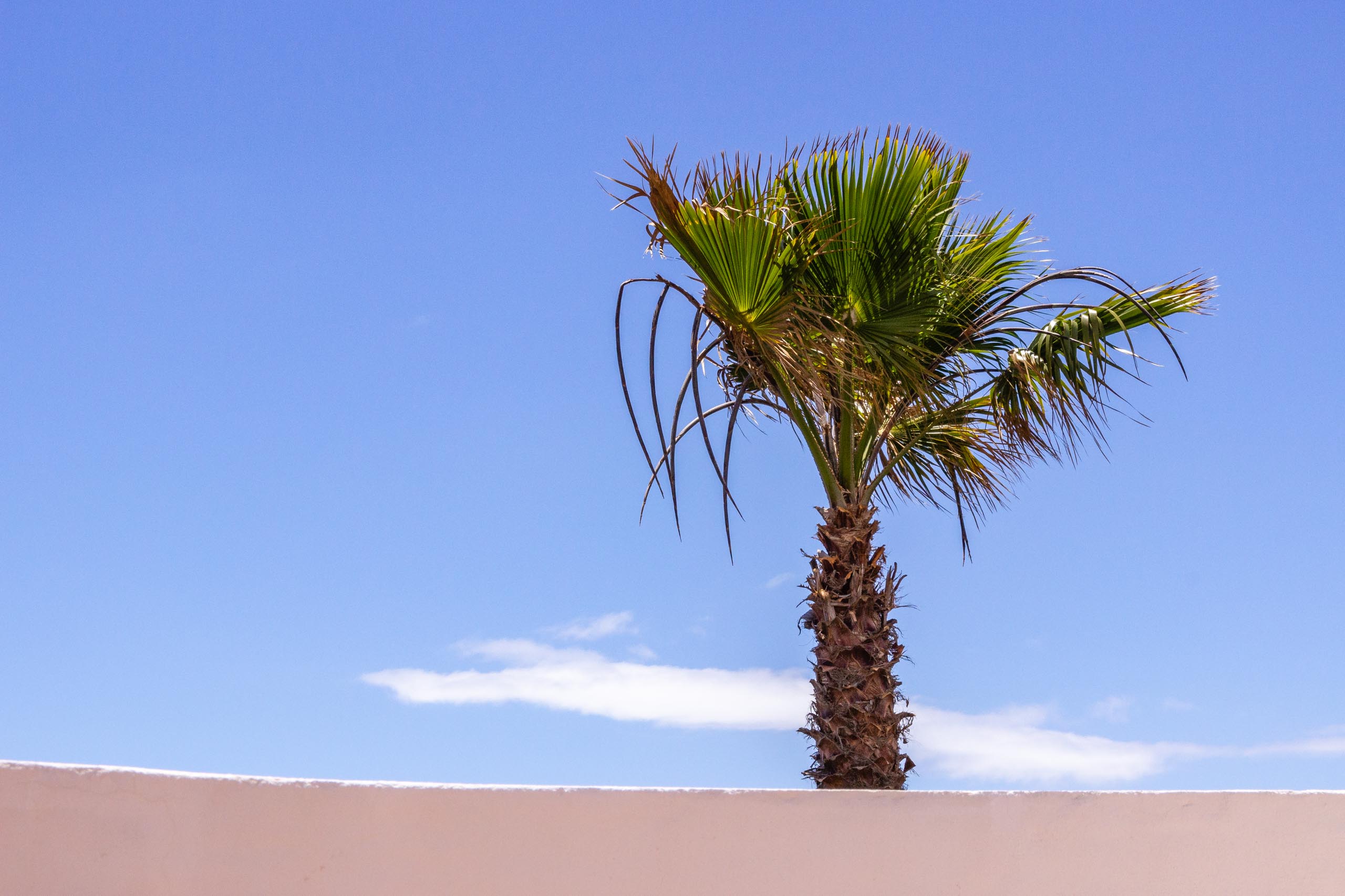 2014 06 Lanzarote Patio 014