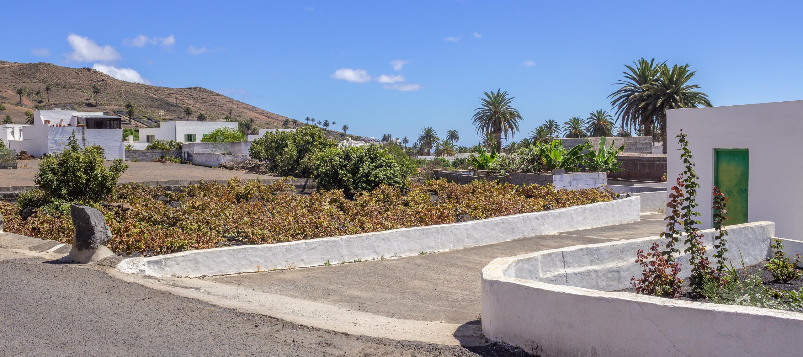 2015 09 Lanzarote Haria 005 1