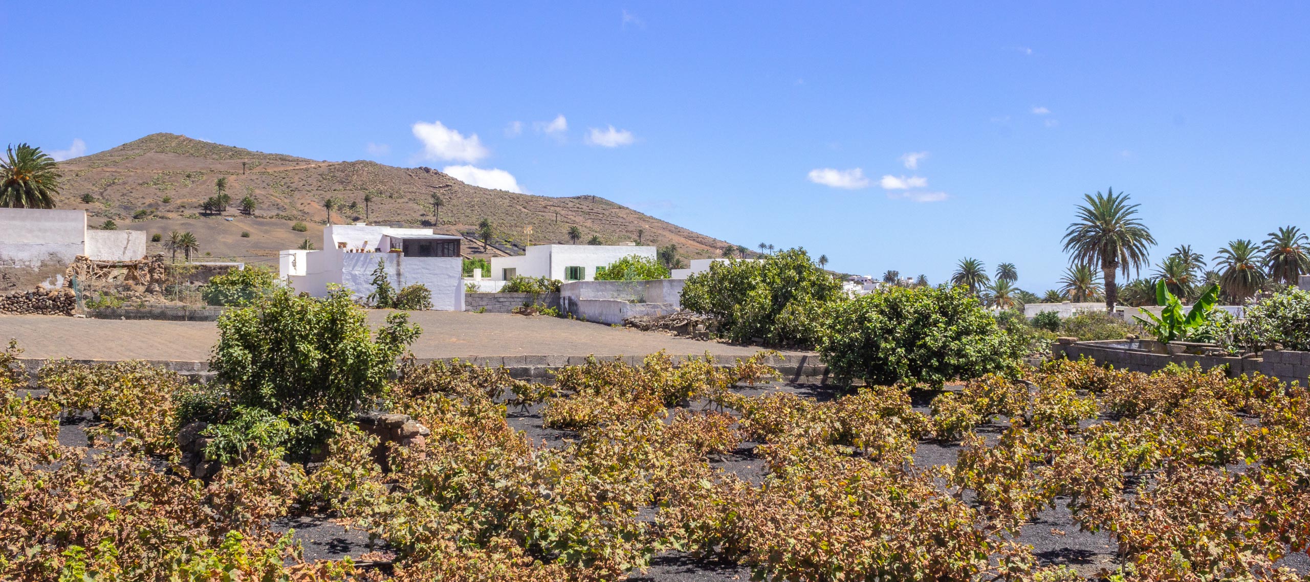 2015 09 Lanzarote Haria 006